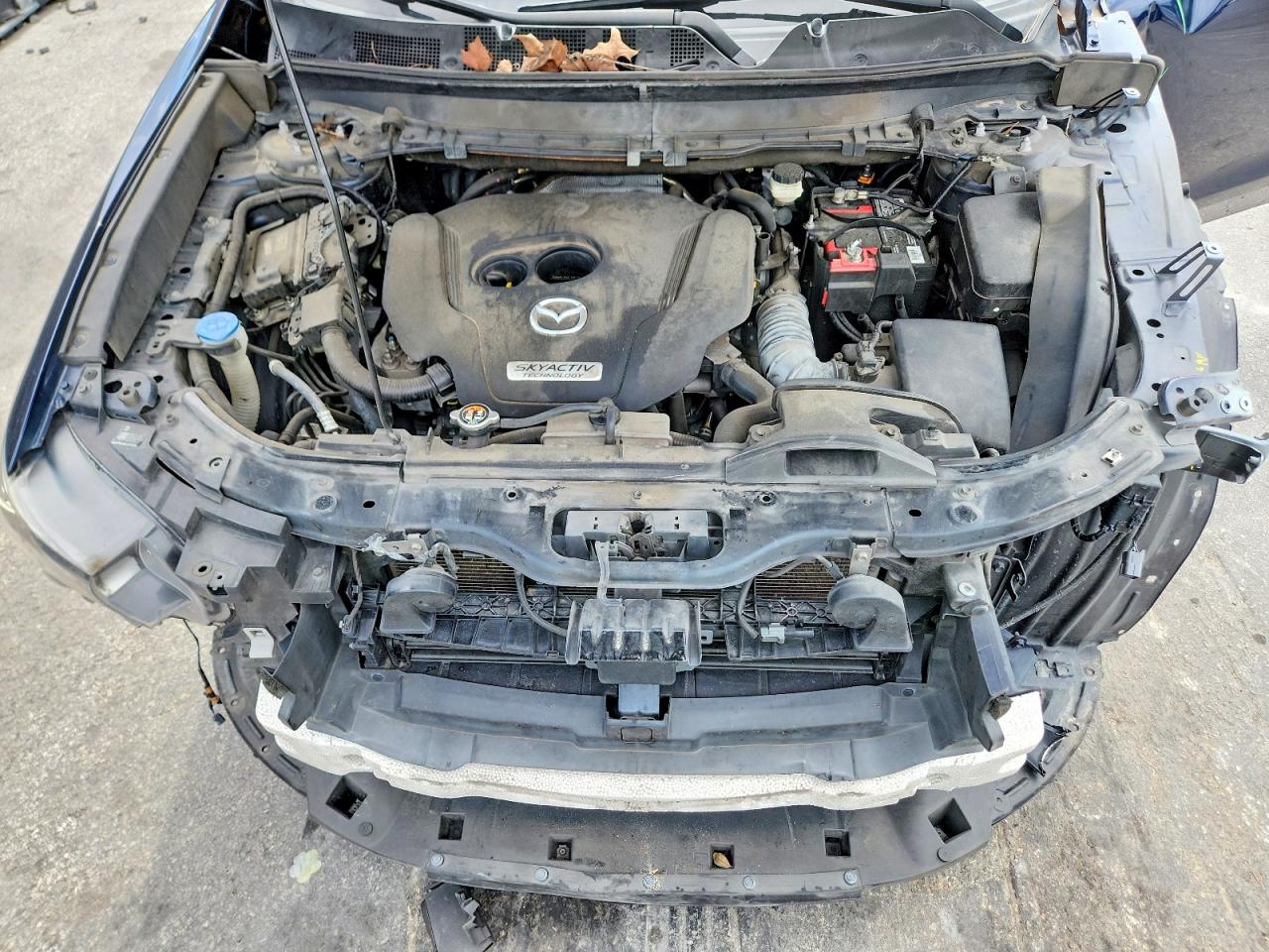 2019 Mazda Cx-9 Sport Blue vin: JM3TCABY8K0321386