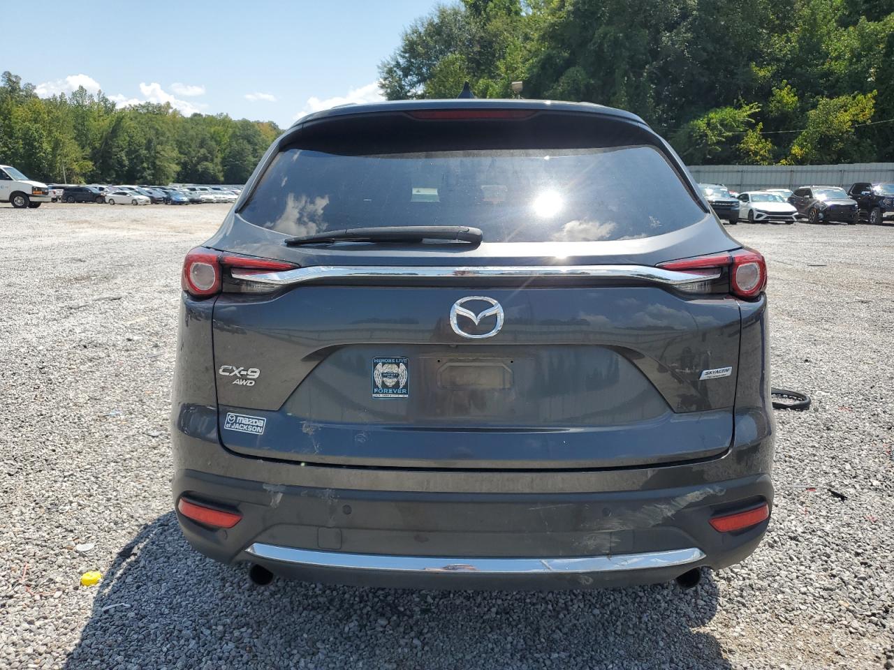 2017 Mazda Cx-9 Signature Серый vin: JM3TCBEY6H0135615
