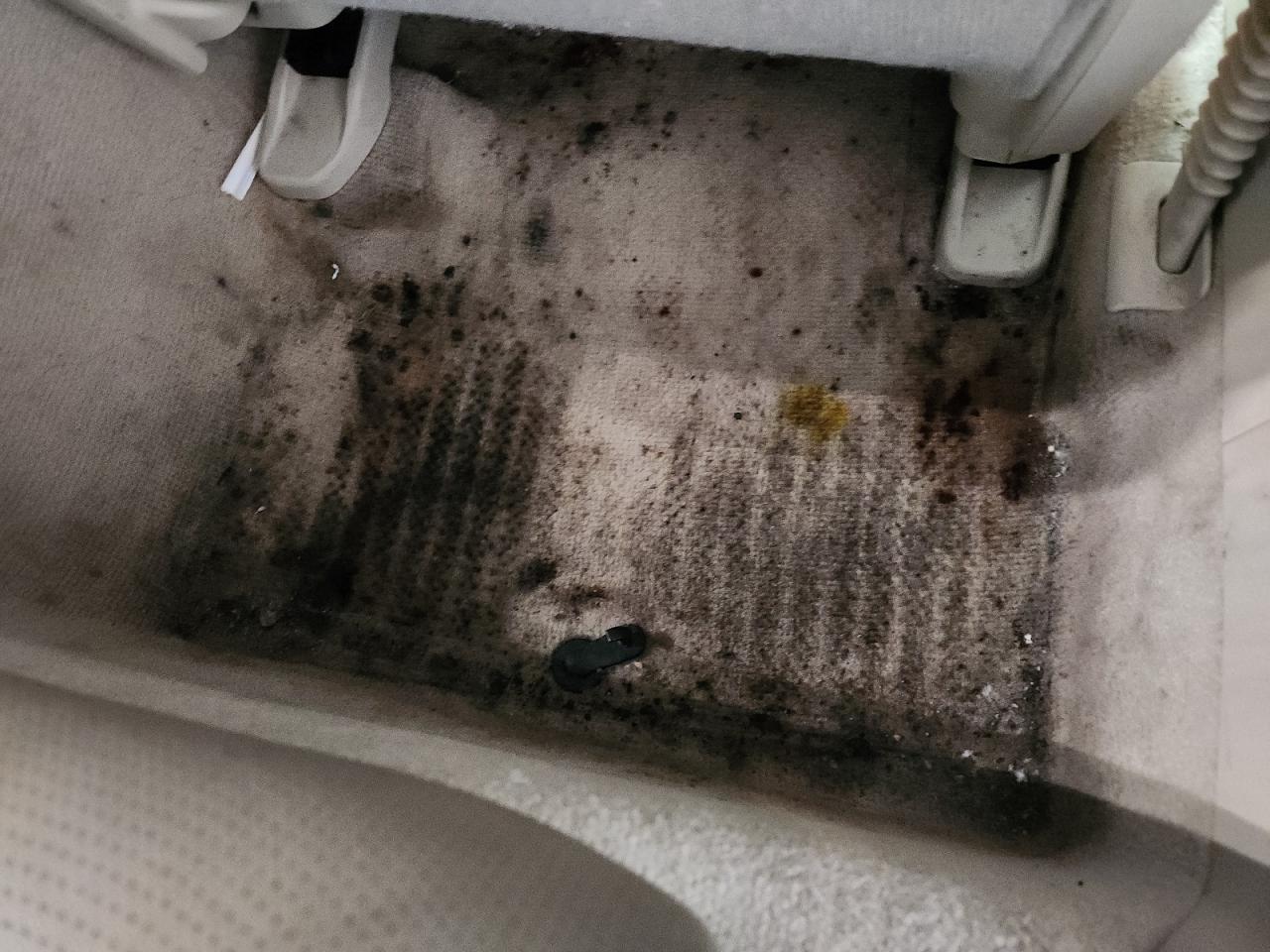 2014 Infiniti Q50 Base Brown vin: JN1BV7AP5EM674856 Damage: Right Rear Carpet, Stained, Permanent