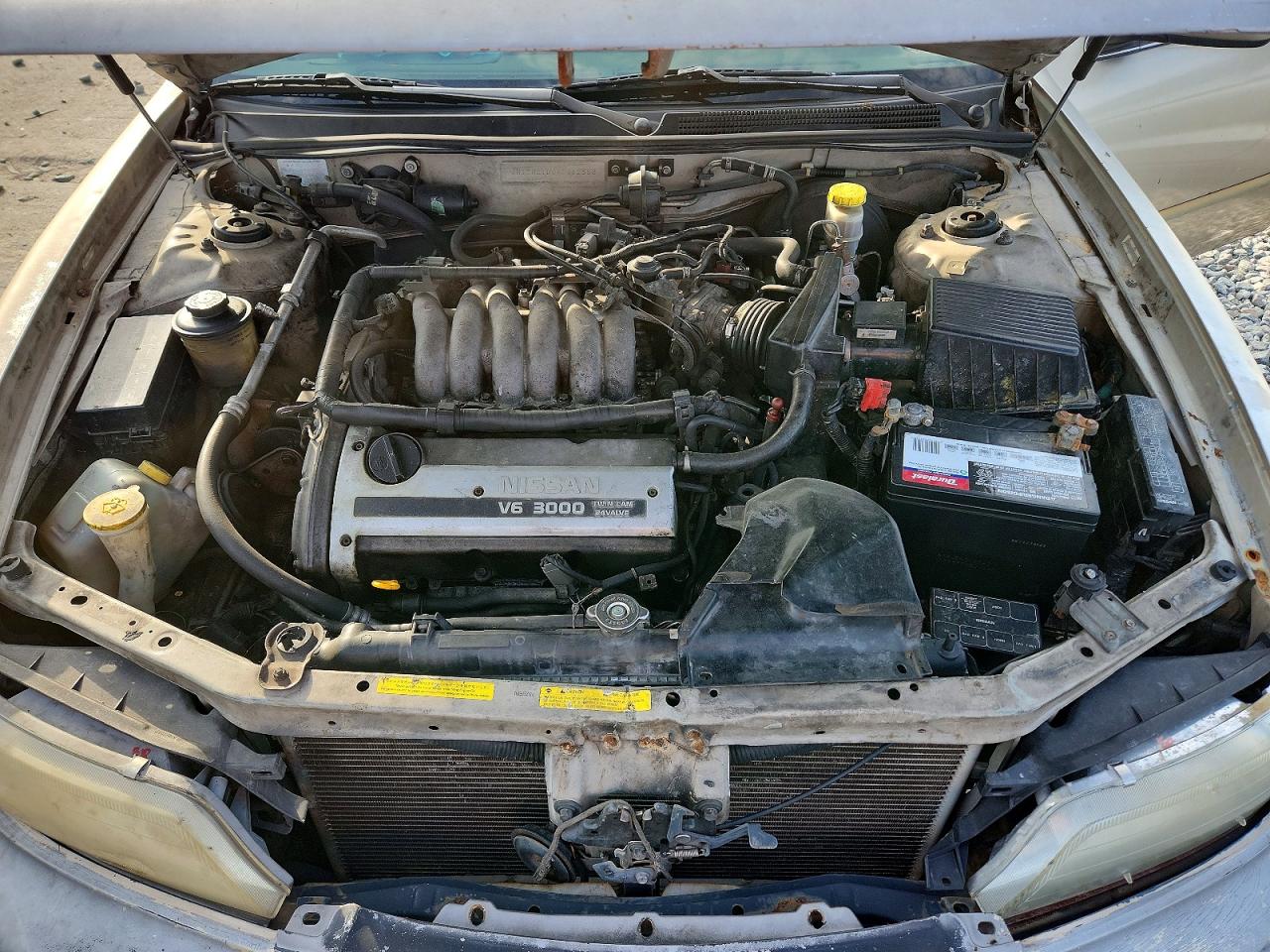 1998 Nissan Maxima Gxe Gold vin: JN1CA21D0WM912588