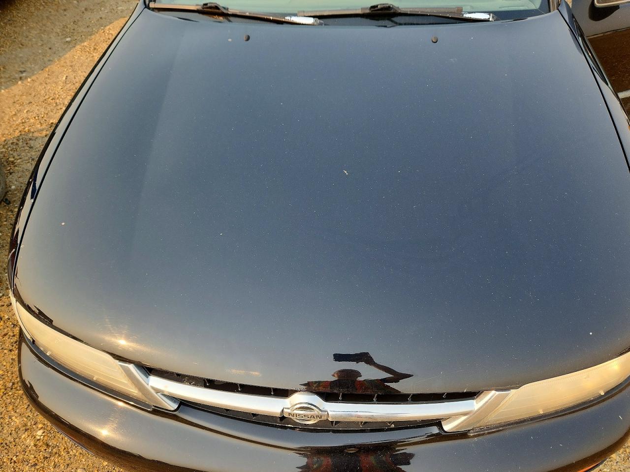 1998 Nissan Maxima Gxe Black vin: JN1CA21D0WT604844