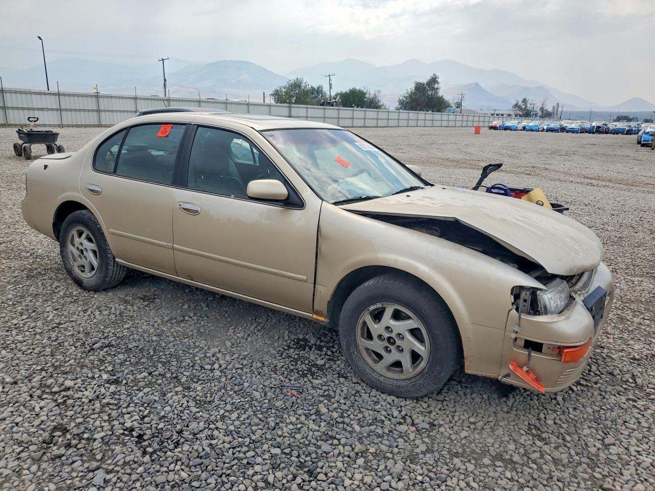 1995 Nissan Maxima Gxe Beige vin: JN1CA21D2ST031018