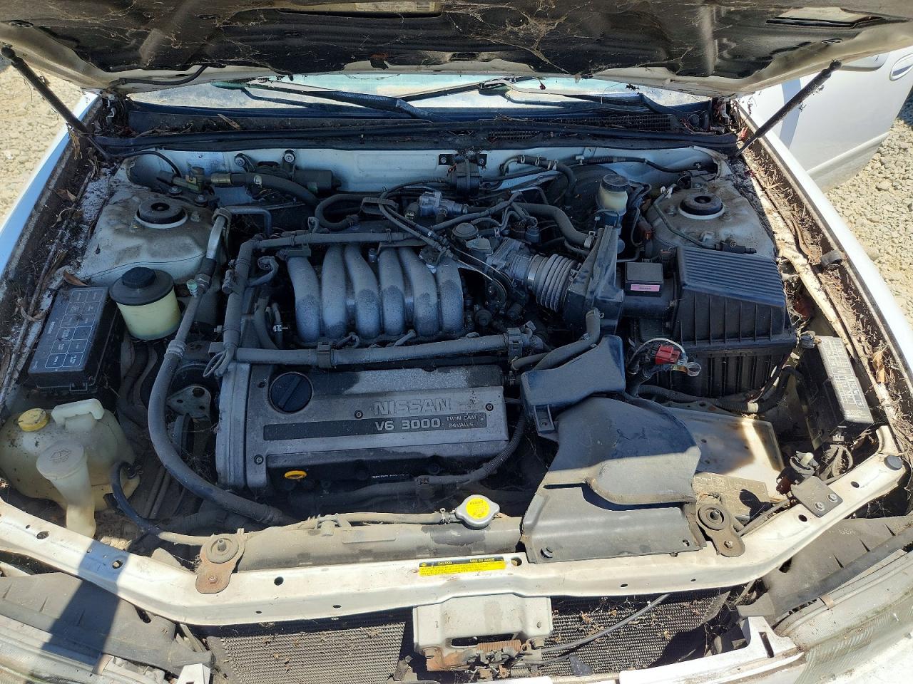 1995 Nissan Maxima Gxe White vin: JN1CA21D4ST069236