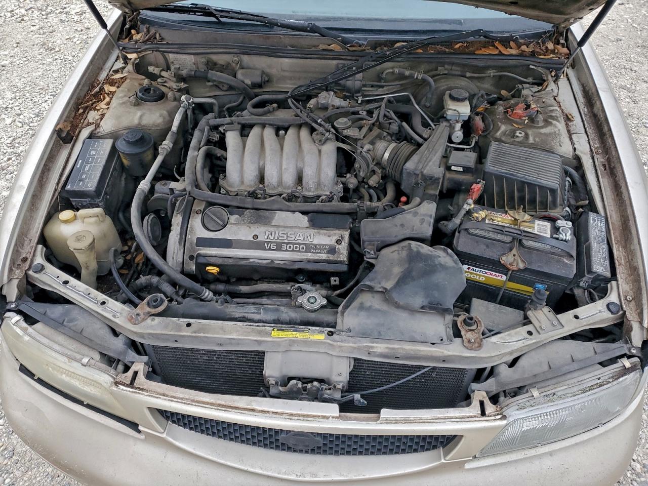 1995 Nissan Maxima Gle Бежевый vin: JN1CA21D8ST648326