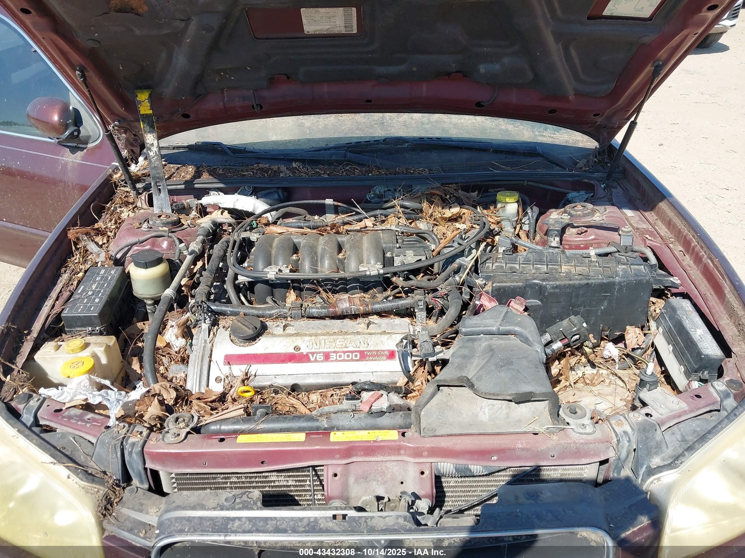 2000 Nissan Maxima Gle/gxe/se Red vin: JN1CA31AXYT211013