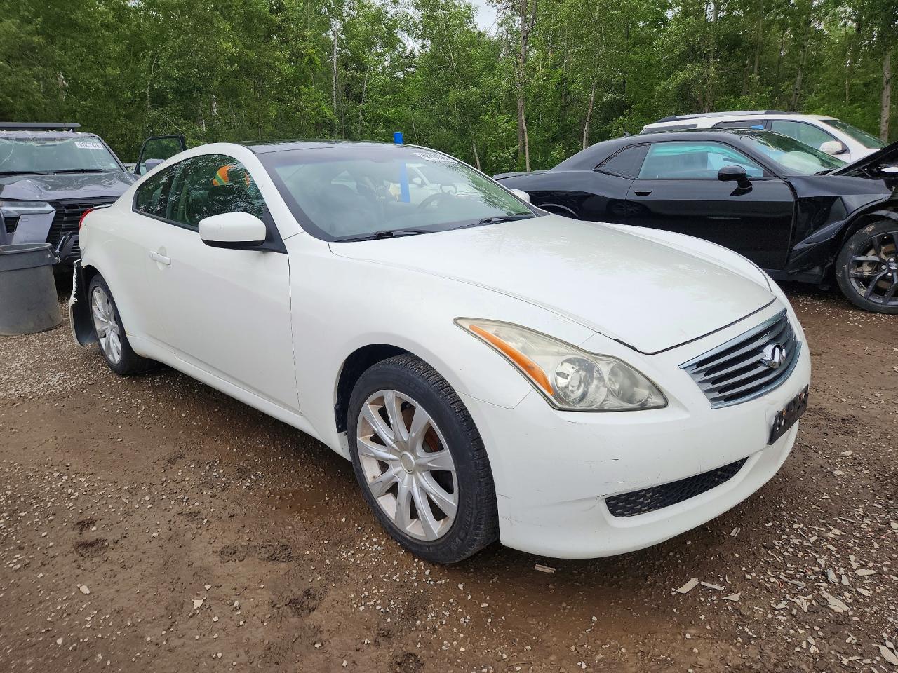2010 Infiniti G37 Coupe X White vin: JN1CV6EL0AM150479