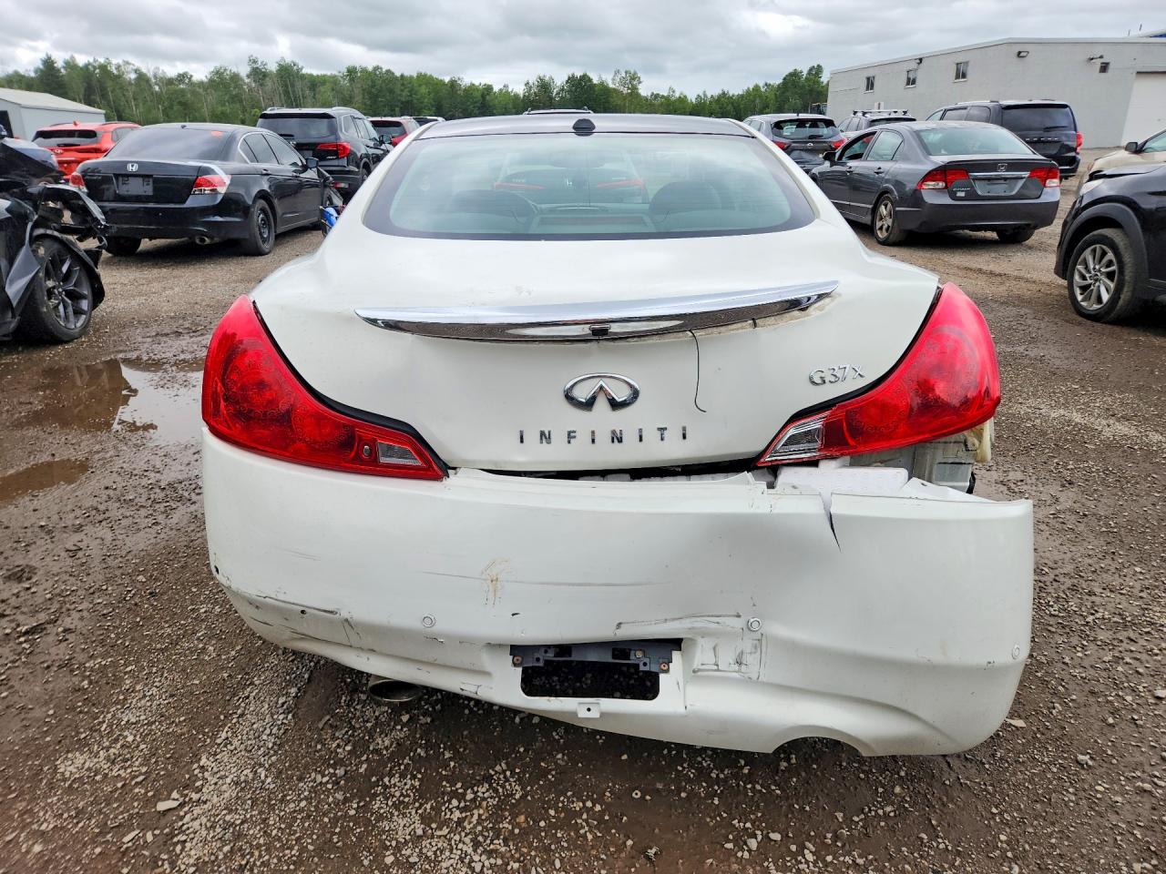 2010 Infiniti G37 Coupe X White vin: JN1CV6EL0AM150479