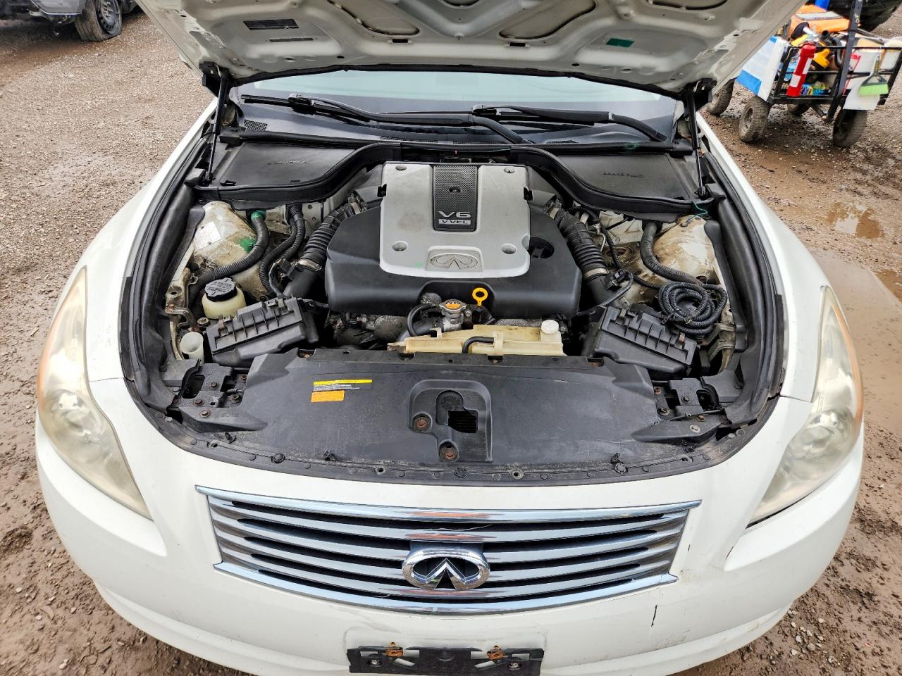 2010 Infiniti G37 Coupe X White vin: JN1CV6EL0AM150479