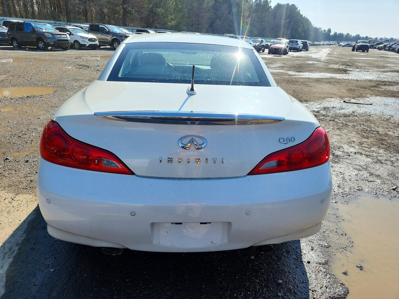 2015 Infiniti Q60 Base Белый vin: JN1CV6FE8FM810341