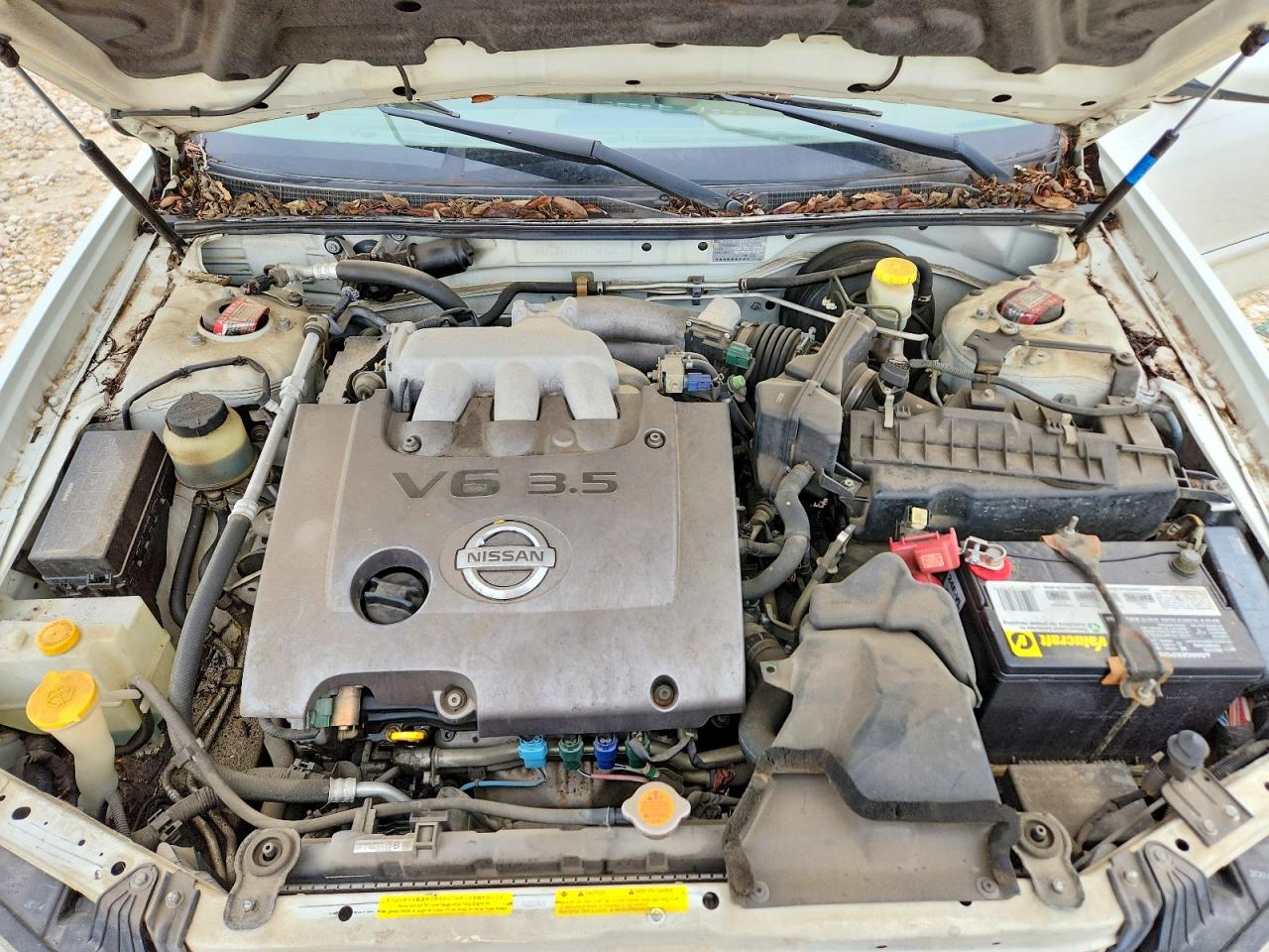 2003 Nissan Maxima Gxe White vin: JN1DA31A13T439768