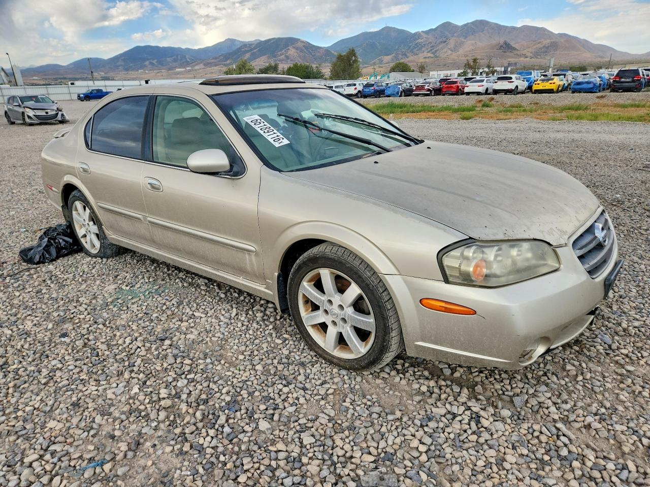 2003 Nissan Maxima Gxe Gold vin: JN1DA31A83T439721