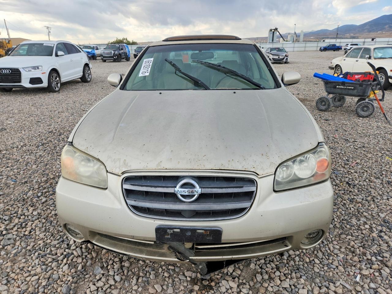 2003 Nissan Maxima Gxe Gold vin: JN1DA31A83T439721