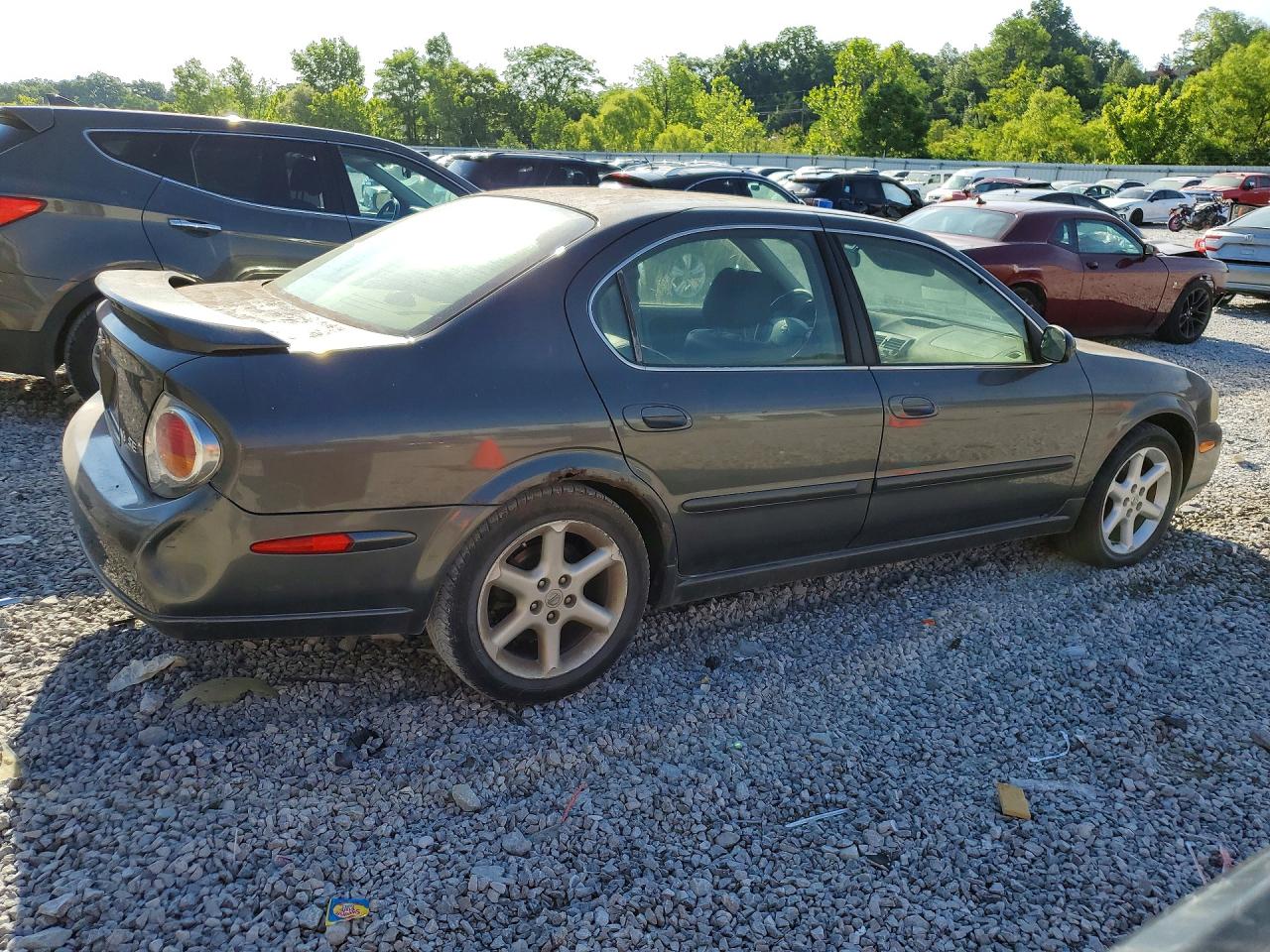2003 Nissan Maxima Gxe Gray vin: JN1DA31DX3T524022