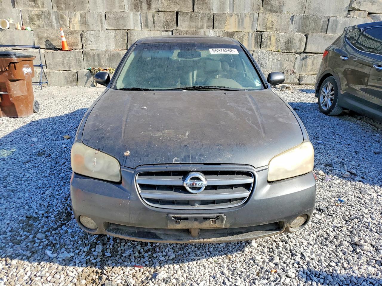 2003 Nissan Maxima Gxe Gray vin: JN1DA31DX3T524022