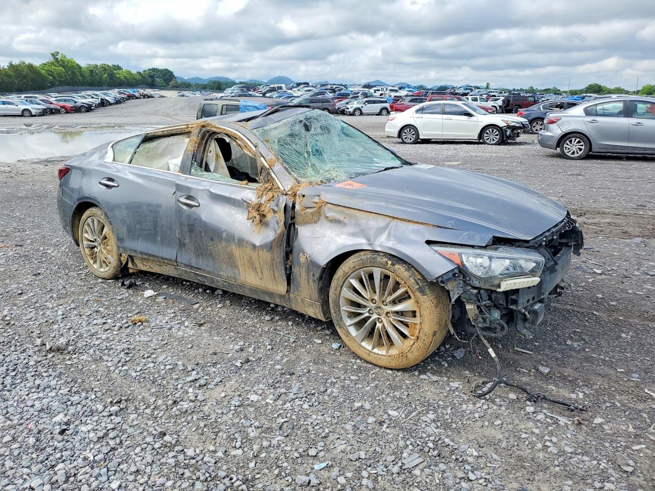 2019 Infiniti Q50 3.0t Luxe Gray vin: JN1EV7AR7KM553420