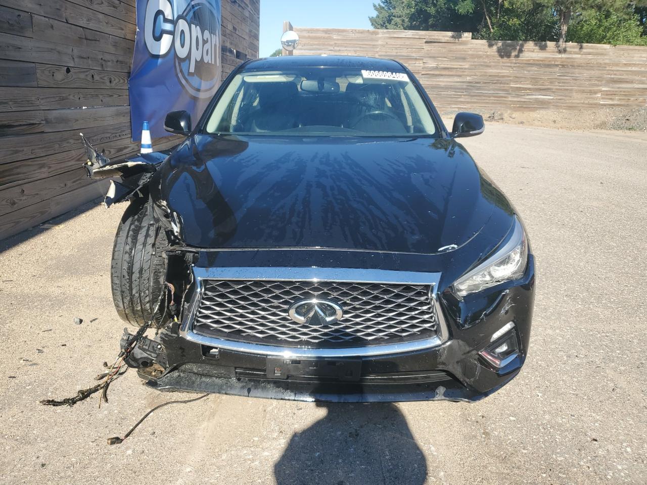 2019 Infiniti Q50 3.0t Luxe Черный vin: JN1EV7ARXKM559308 Damage: Grille, Broken, Replacement Required