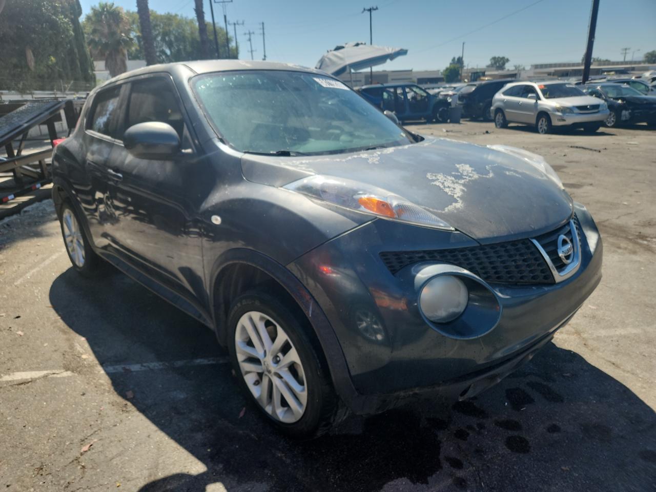 2013 Nissan Juke S/sv/sl Blue vin: JN8AF5MR3DT226163 Damage: Right Front Fender, Oxidized, > 12 Inches