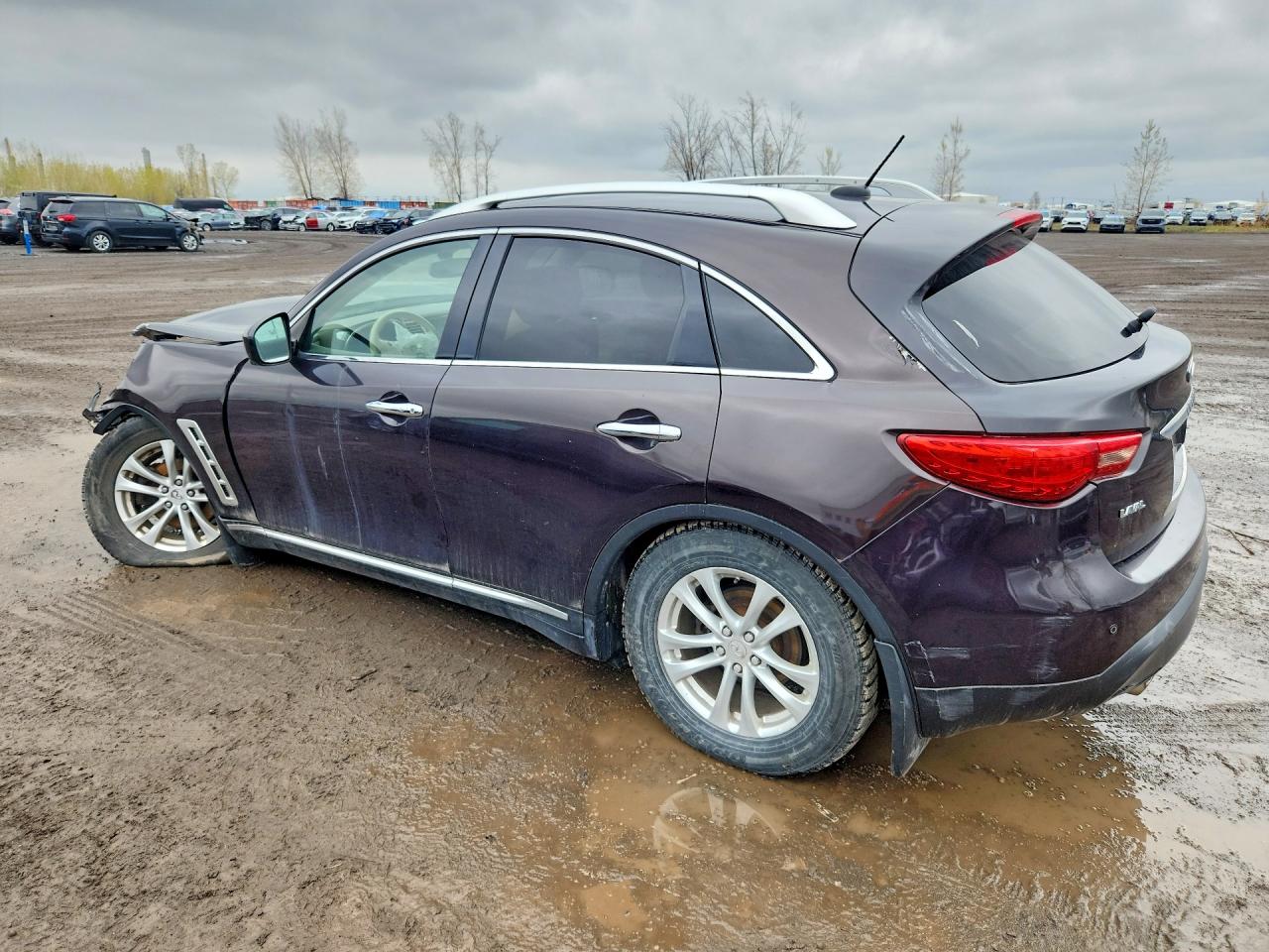 2010 Infiniti Fx35 Base Purple vin: JN8AS1MW3AM850111