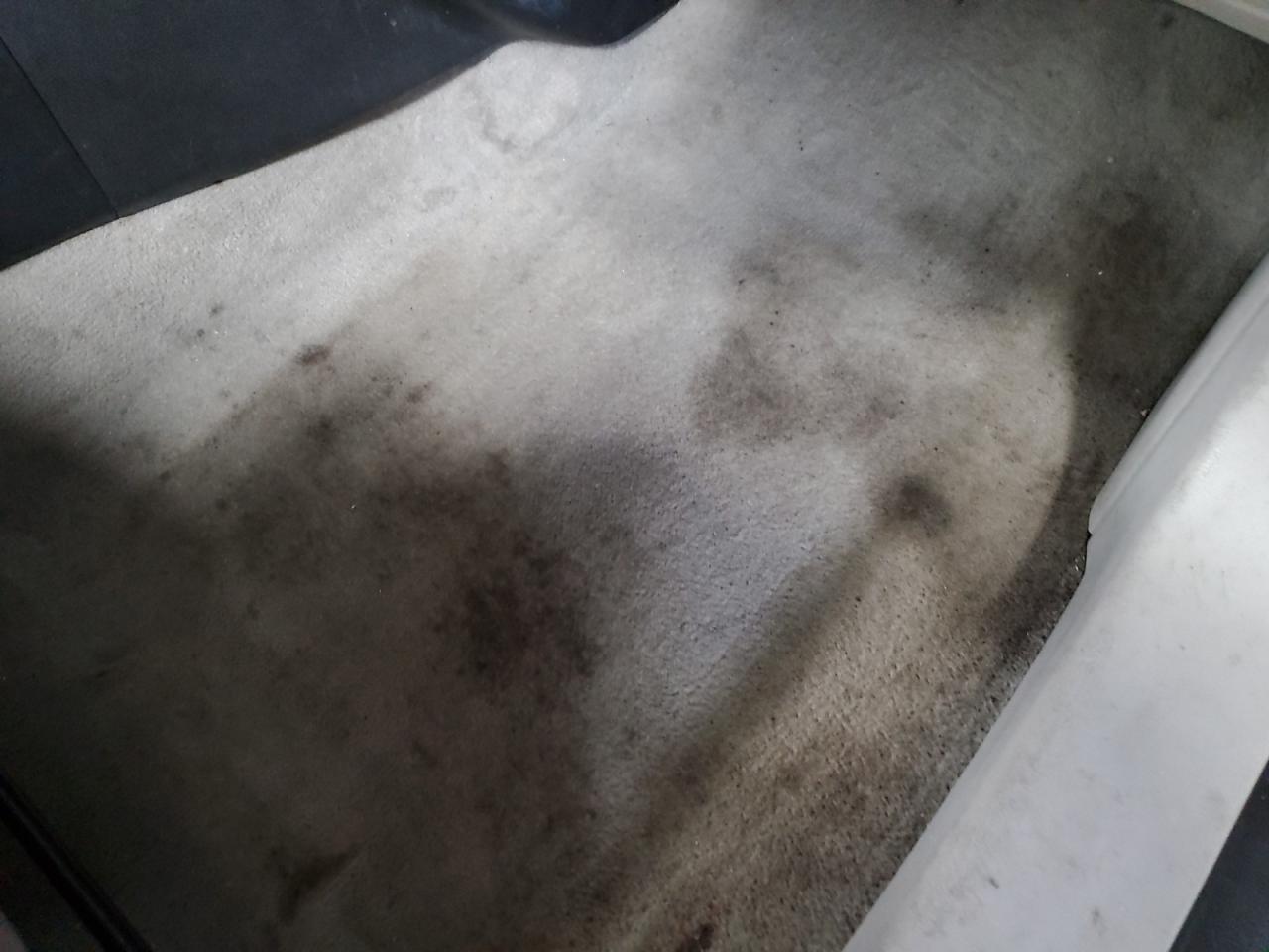 2011 Nissan Rogue S White vin: JN8AS5MT1BW163969 Damage: Right Front Carpet, Stained, Permanent
