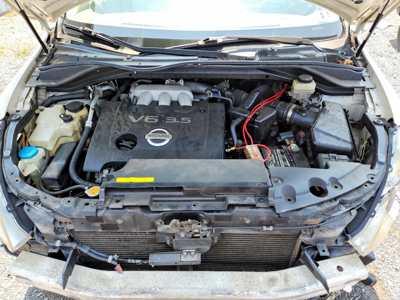 2006 Nissan Murano S Белый vin: JN8AZ08T76W413892