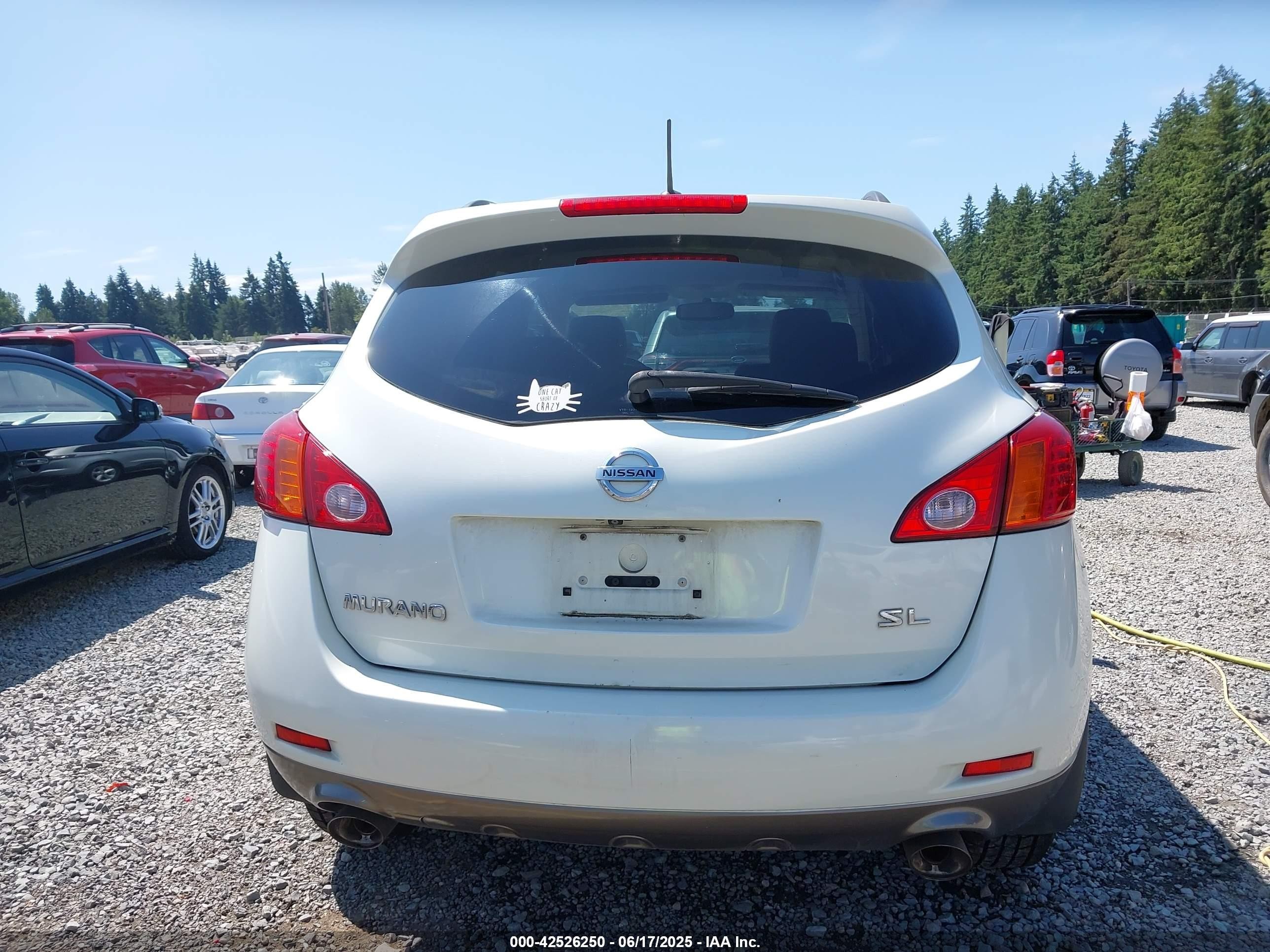 2009 Nissan Murano Sl Beige vin: JN8AZ18U99W019510
