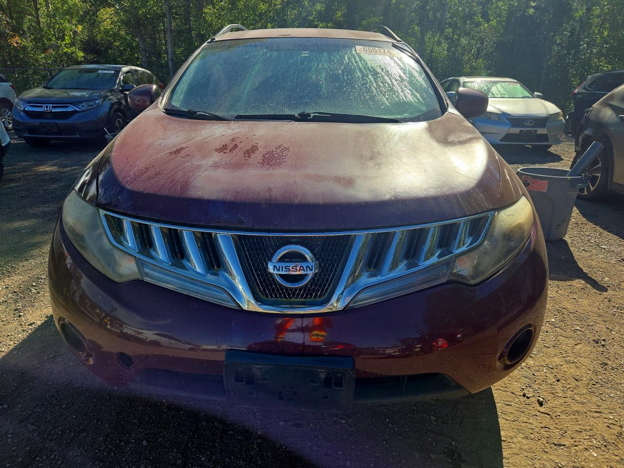2009 Nissan Murano S Красный vin: JN8AZ18W59W154436