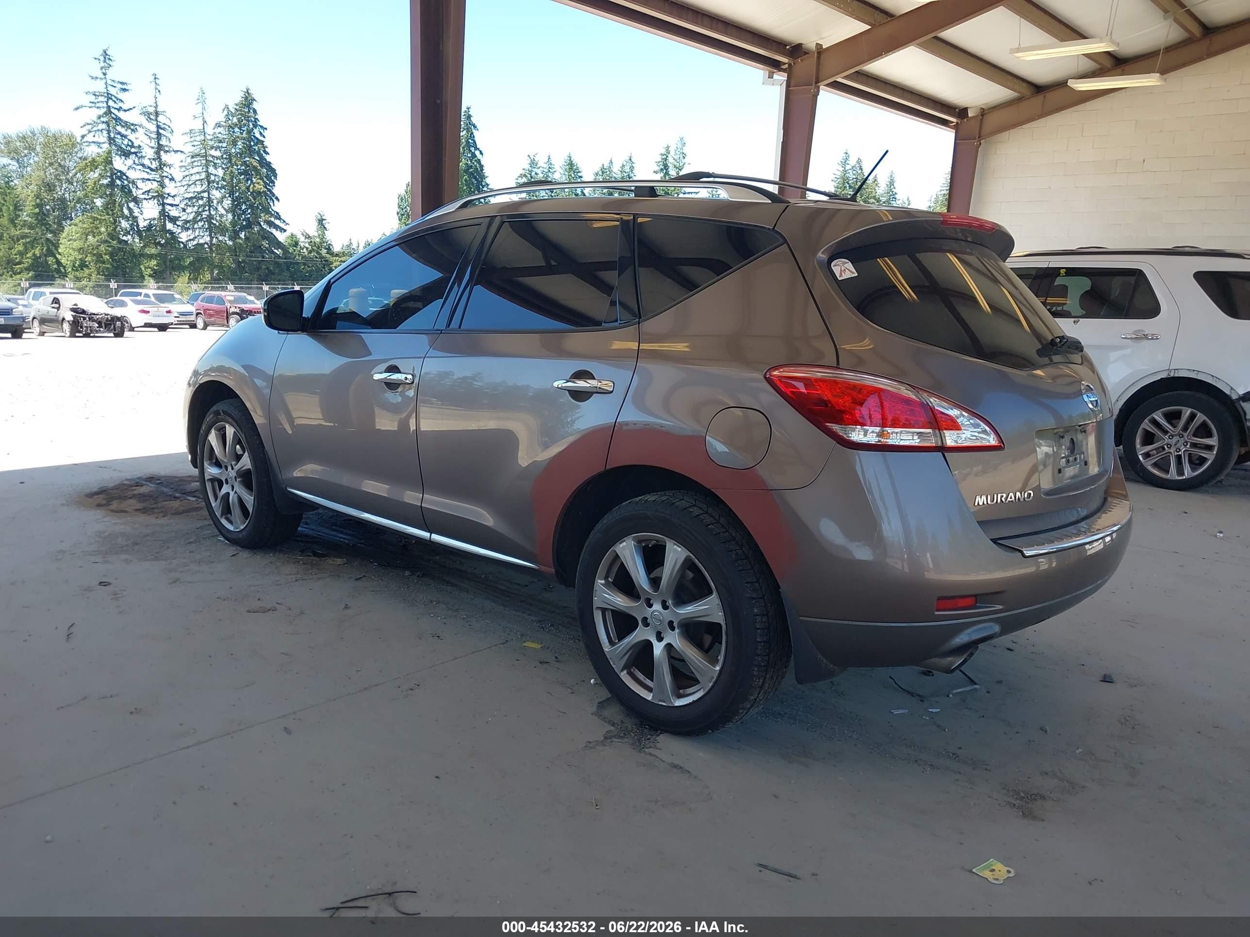 2013 Nissan Murano Le Brown vin: JN8AZ1MW2DW303254