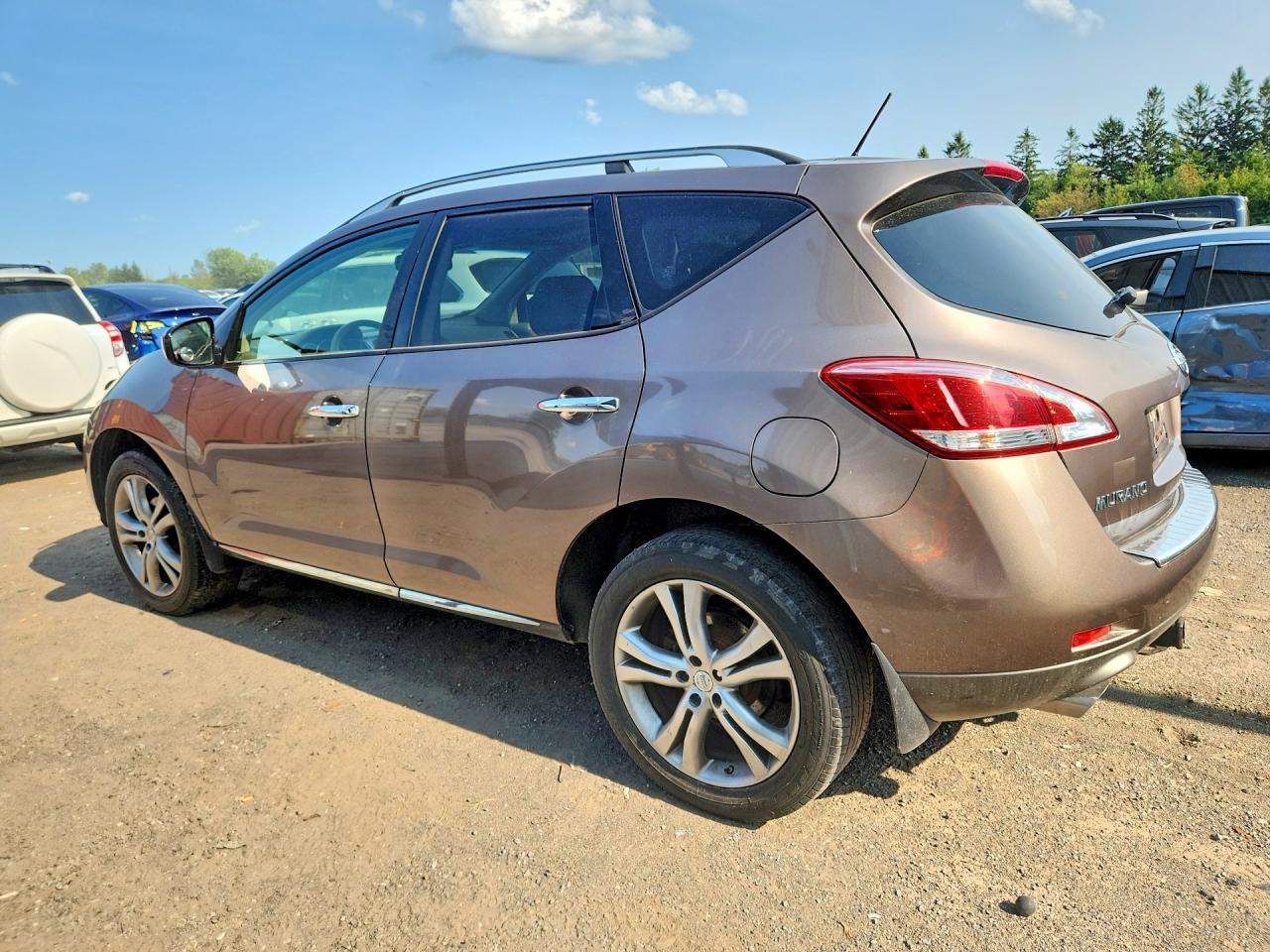 2013 Nissan Murano S Tan vin: JN8AZ1MW8DW302478