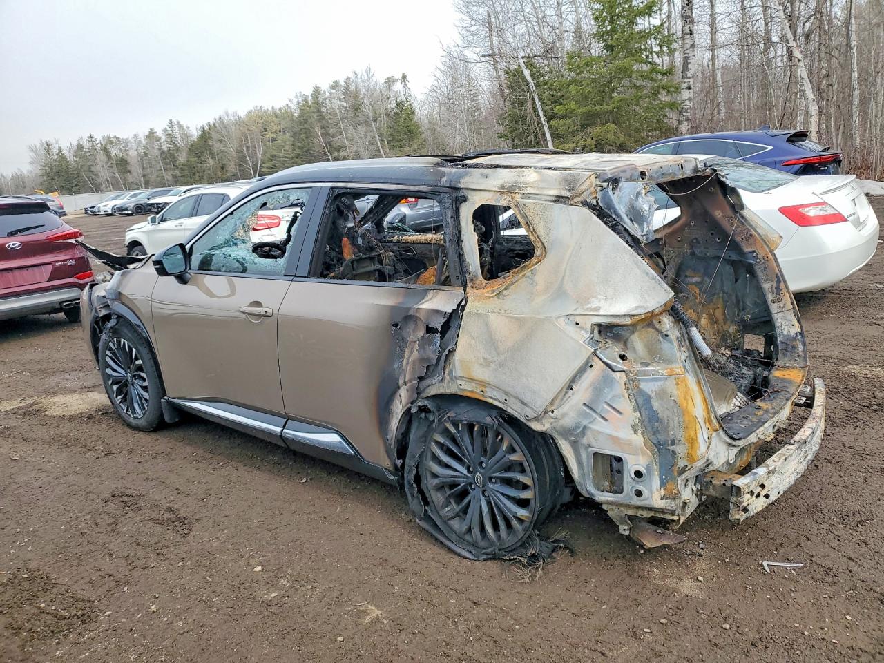 2025 Nissan Rogue Platinum Gray vin: JN8BT3DD6SW300547