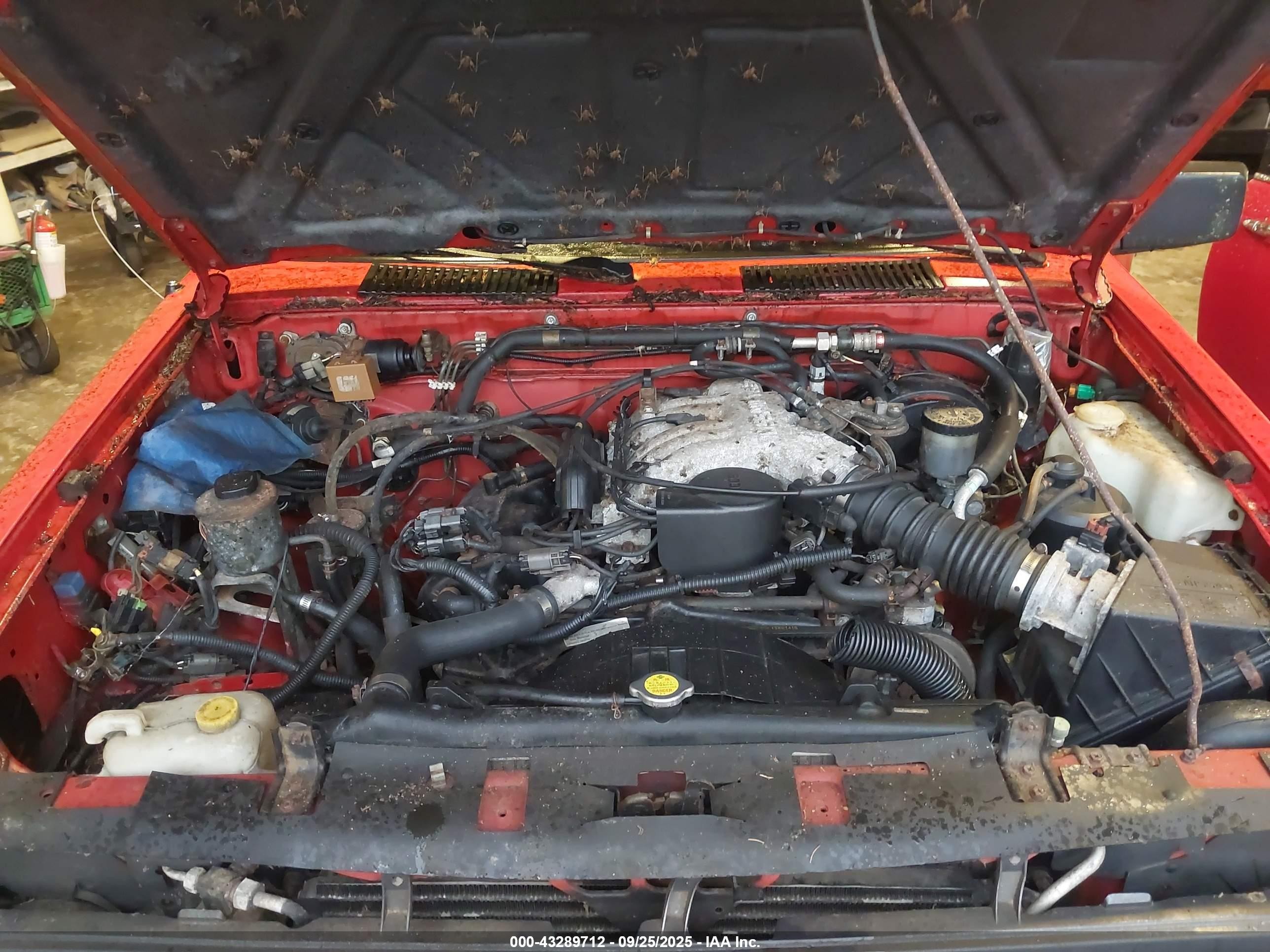 1995 Nissan Pathfinder Le/se/xe Red vin: JN8HD17Y9SW035519