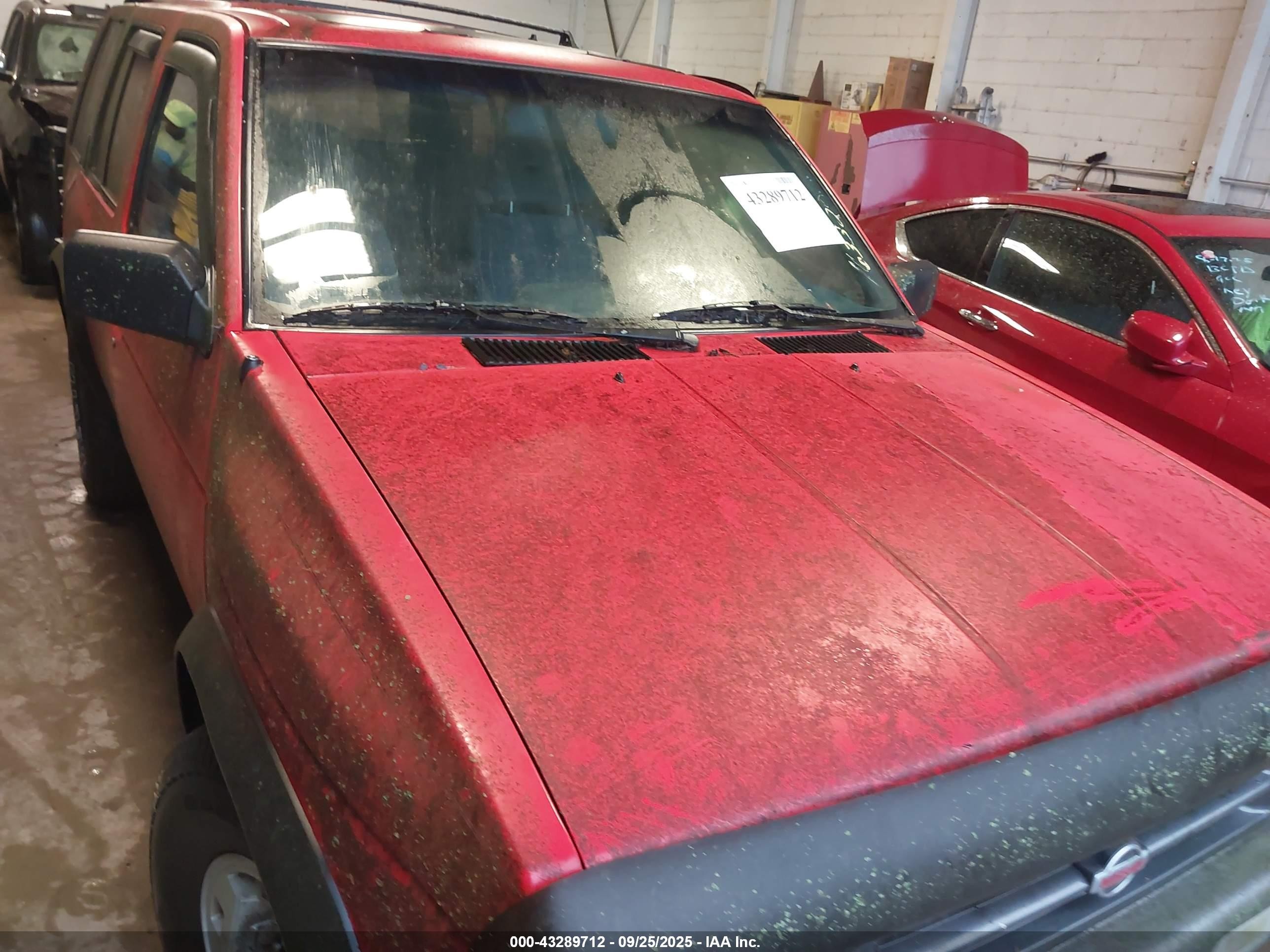 1995 Nissan Pathfinder Le/se/xe Red vin: JN8HD17Y9SW035519