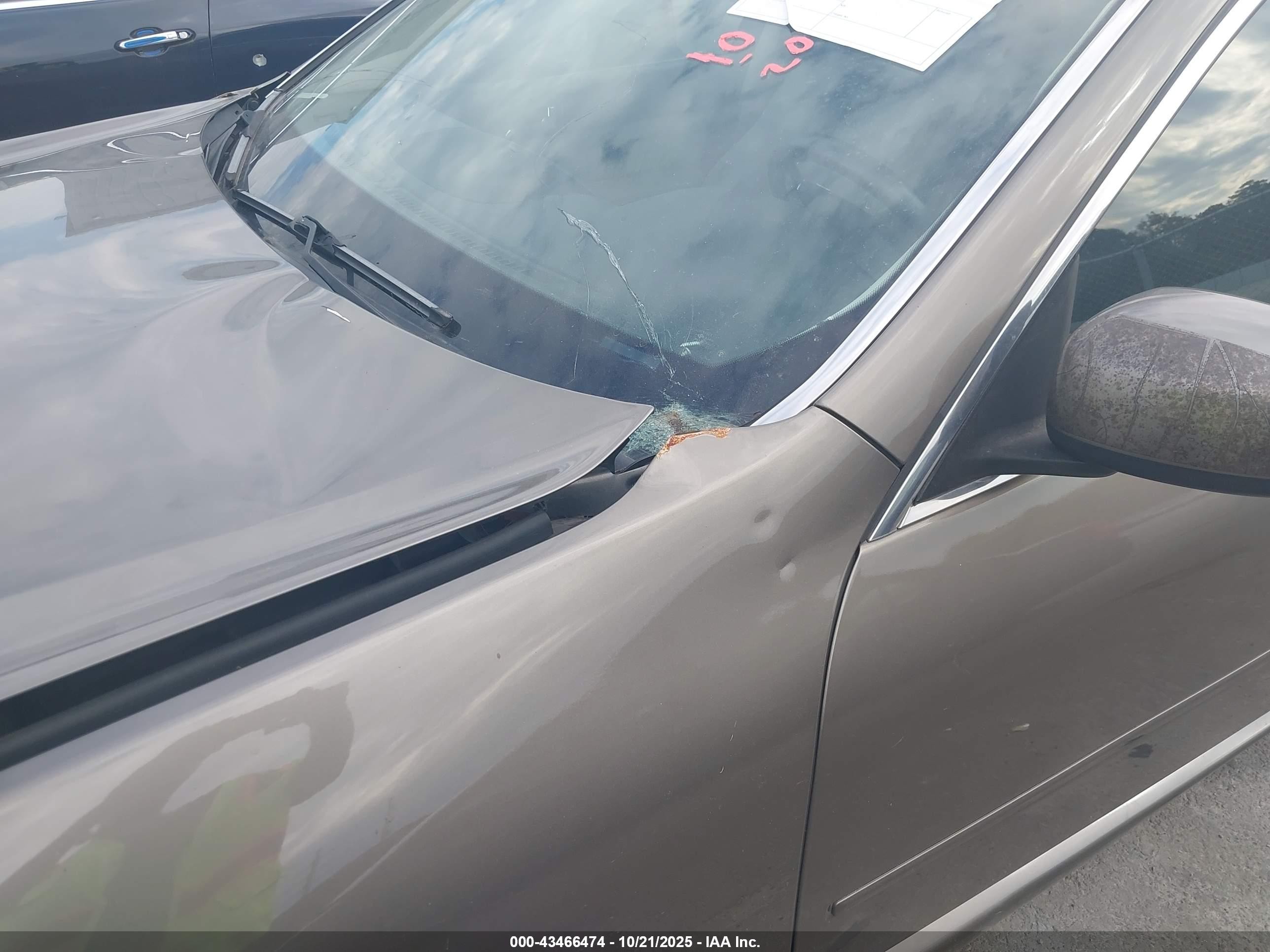 2006 Infiniti M45 Sport Бежевый vin: JNKBY01E26M207131