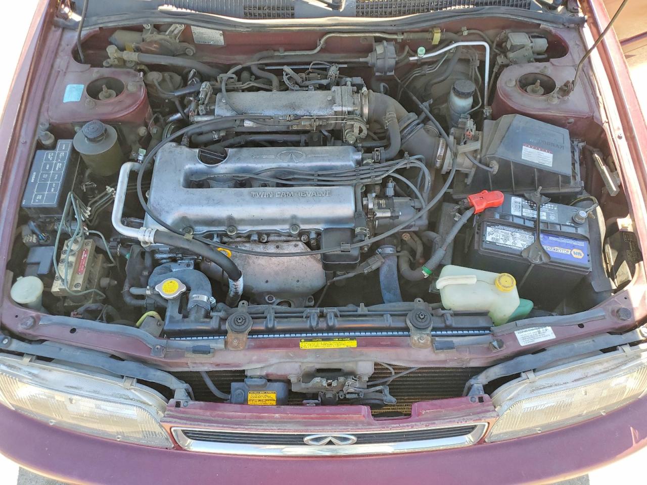1994 Infiniti G20 Base Red vin: JNKCP01D6RT501365