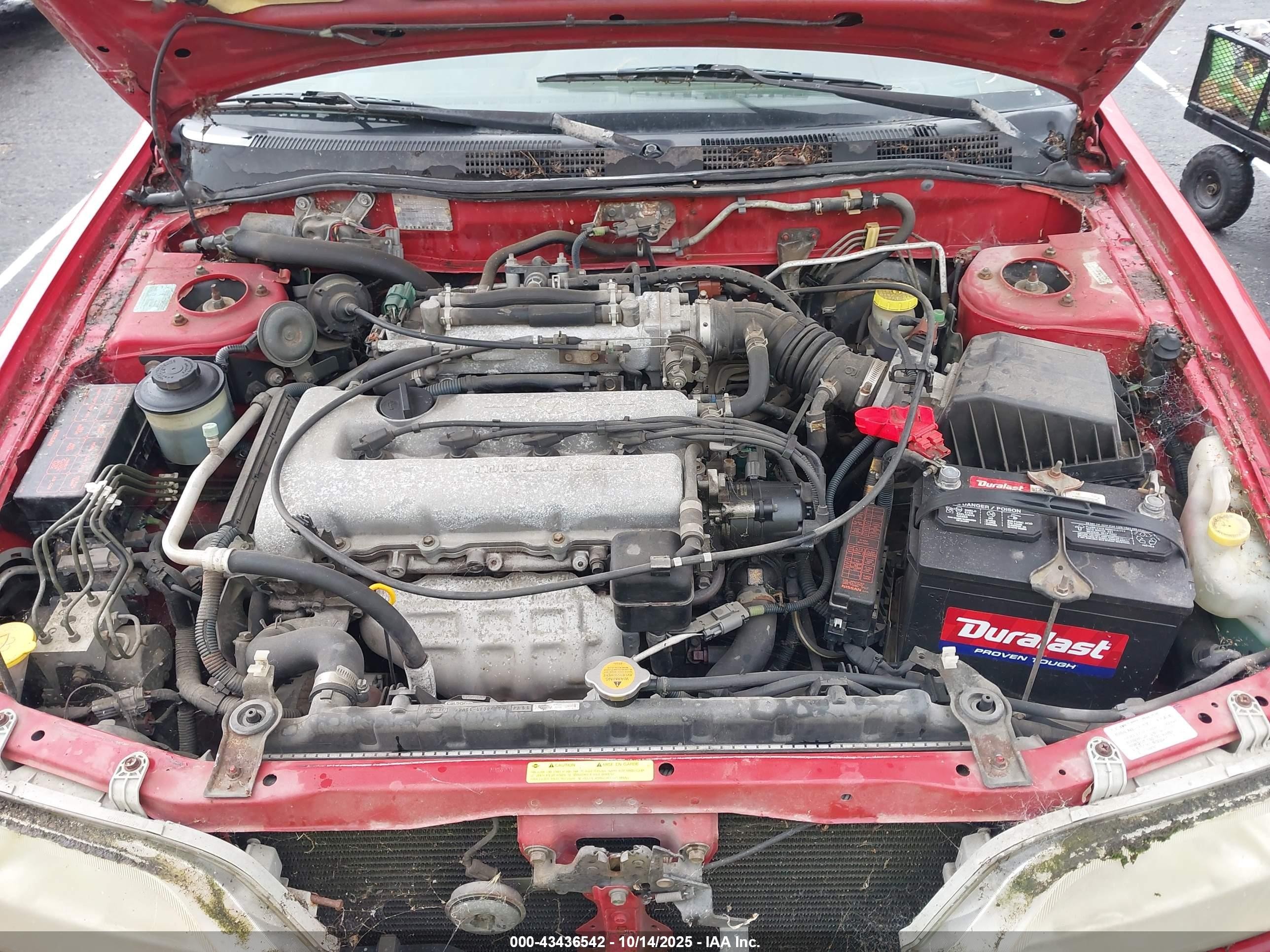 1999 Infiniti G20 Standard/touring Red vin: JNKCP11A3XT006615