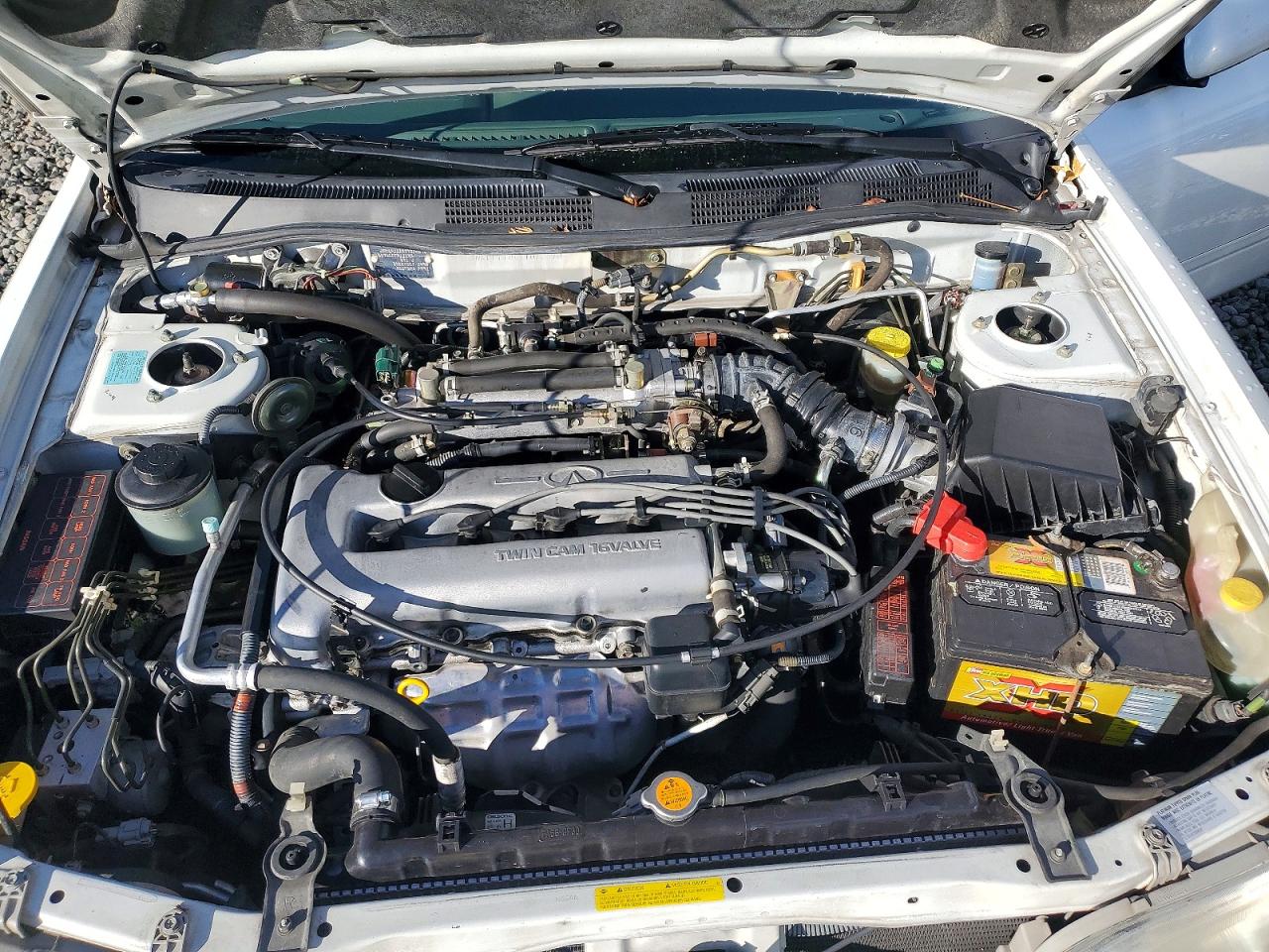 1999 Infiniti G20 Белый vin: JNKCP11A4XT012570
