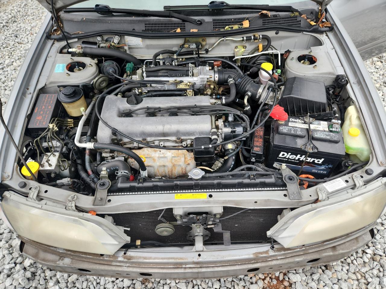 1999 Infiniti G20 Серебряный vin: JNKCP11A8XT017853