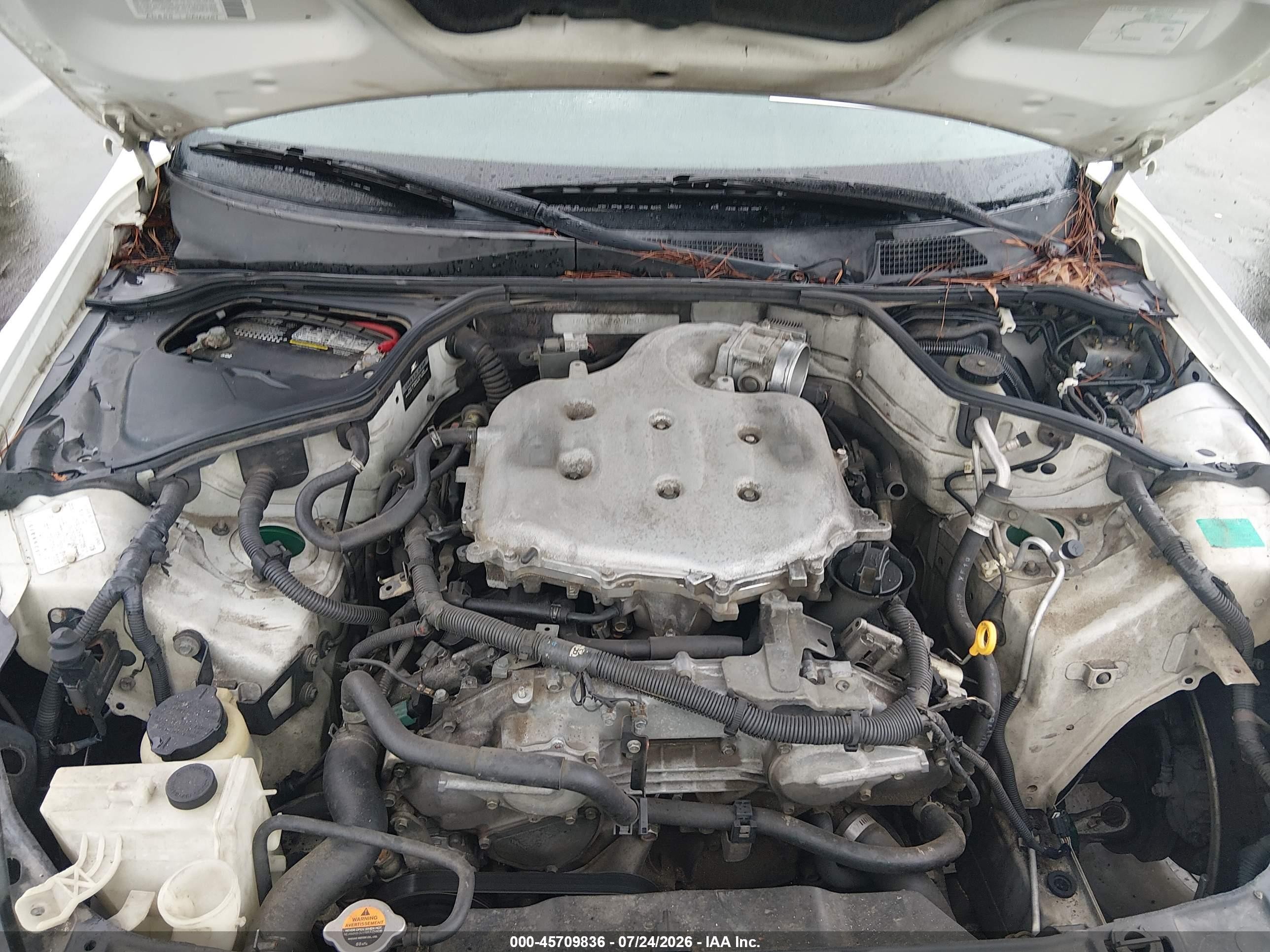 2005 Infiniti G35   White vin: JNKCV51E65M208517