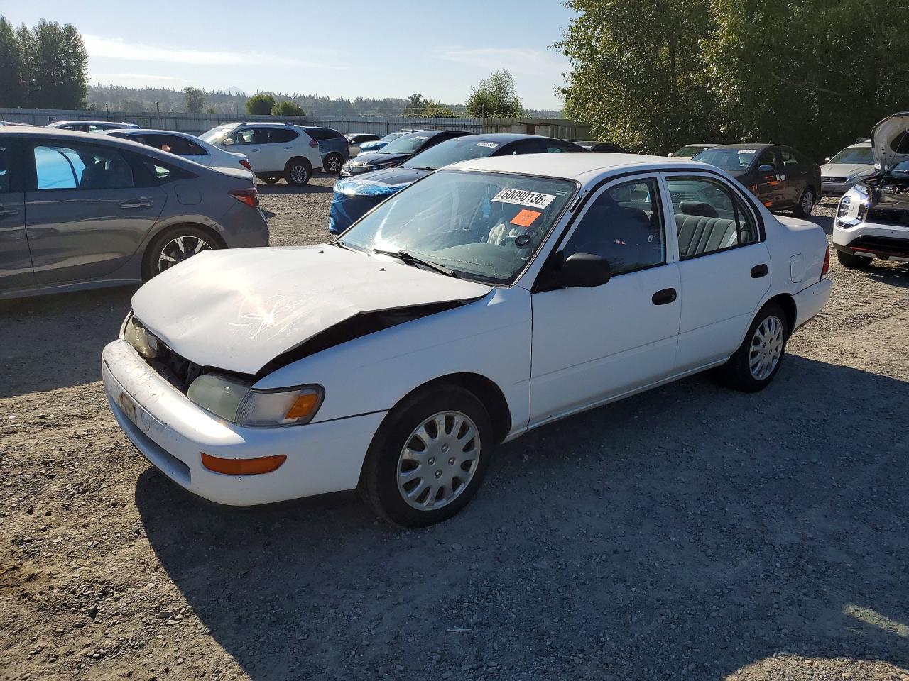 1994 Toyota Corolla Base White vin: JT2AE04B5R0082654