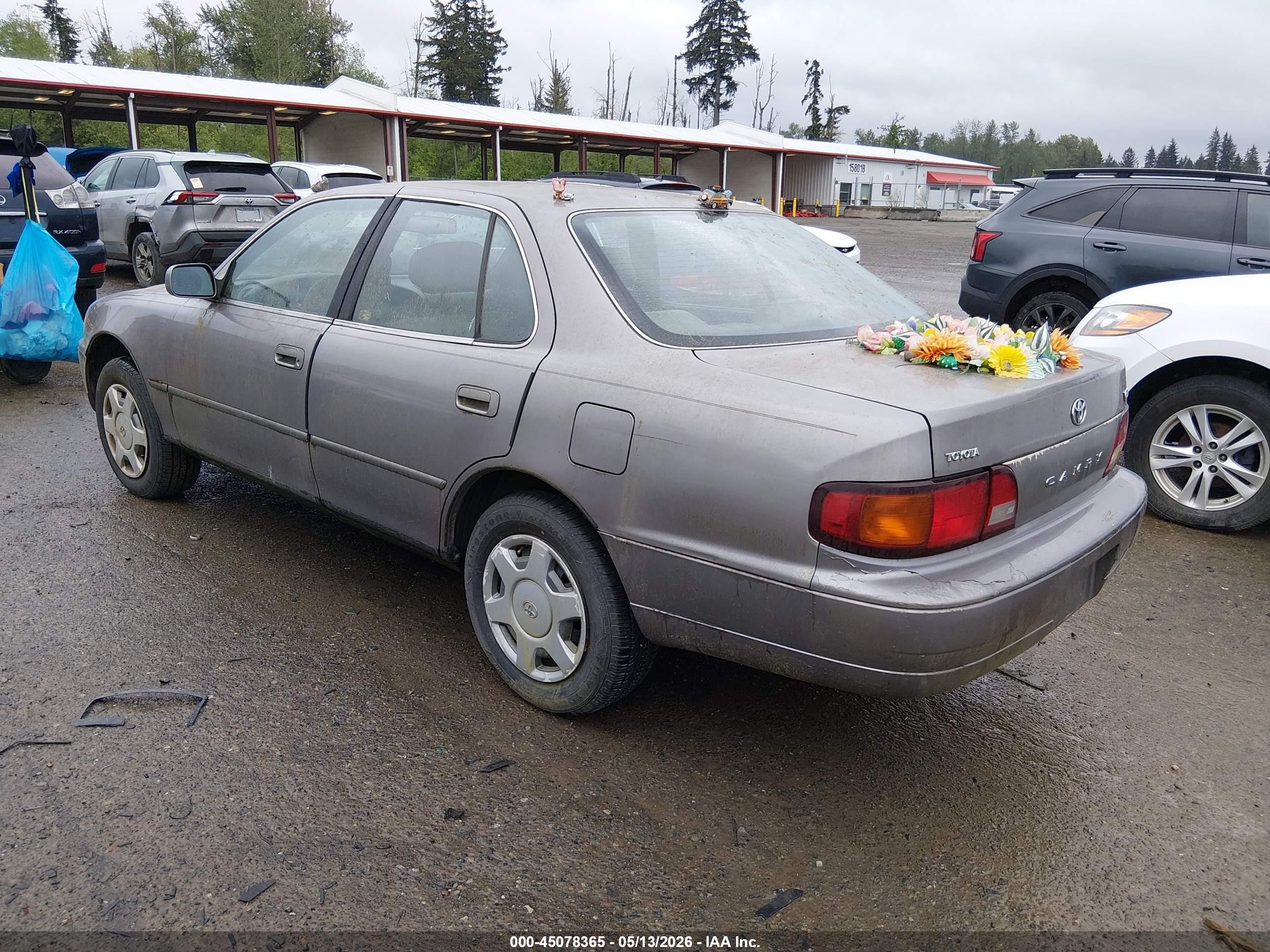 1996 Toyota Camry Le/xle/se Коричневый vin: JT2BF12K6T0165141