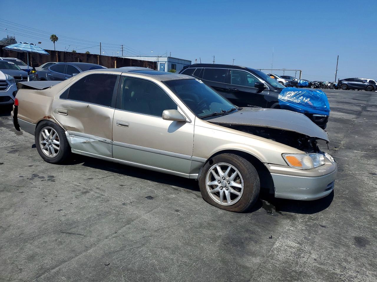 2001 Toyota Camry Le V6 Beige vin: JT2BF22K010310113
