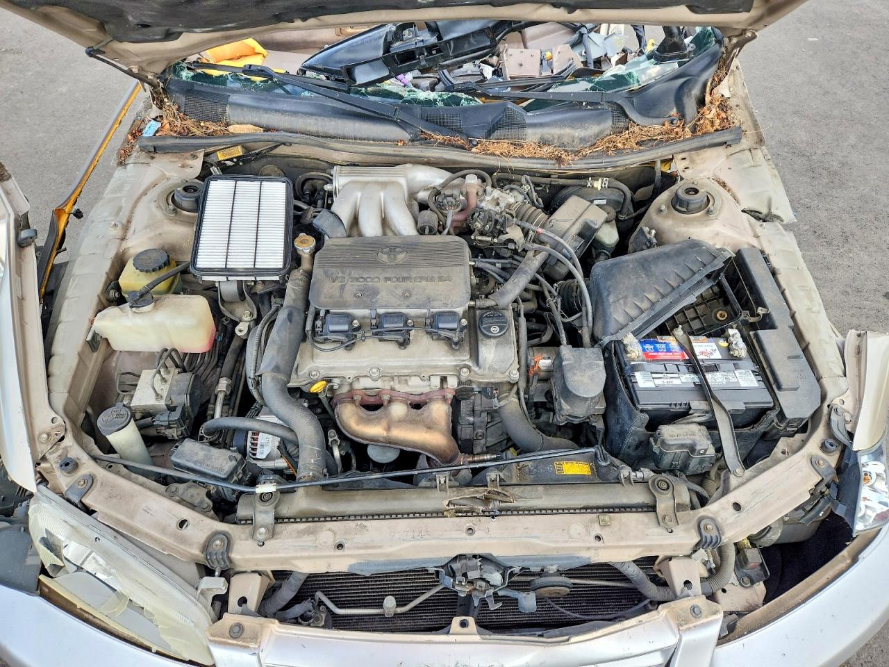 1999 Toyota Camry Le V6 Beige vin: JT2BF22K8X0180123