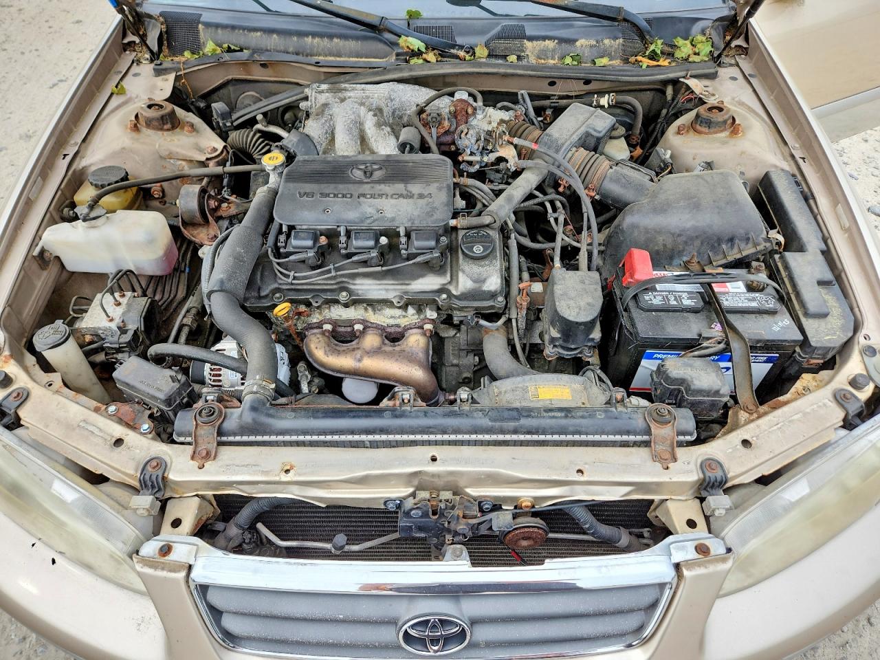 2001 Toyota Camry Le V6 Beige vin: JT2BF28K710315039