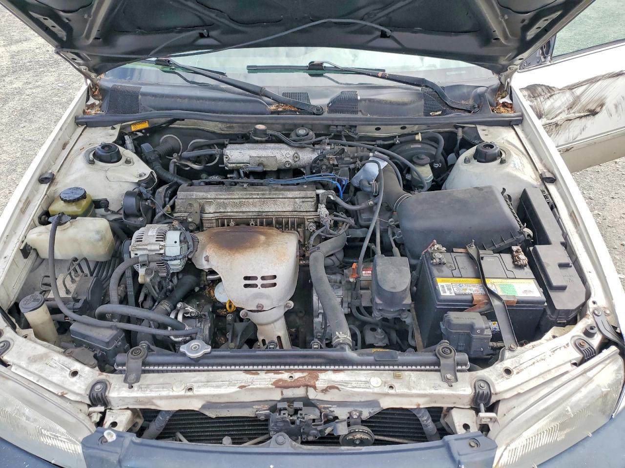 1999 Toyota Camry Le Белый vin: JT2BG22K0X0335812
