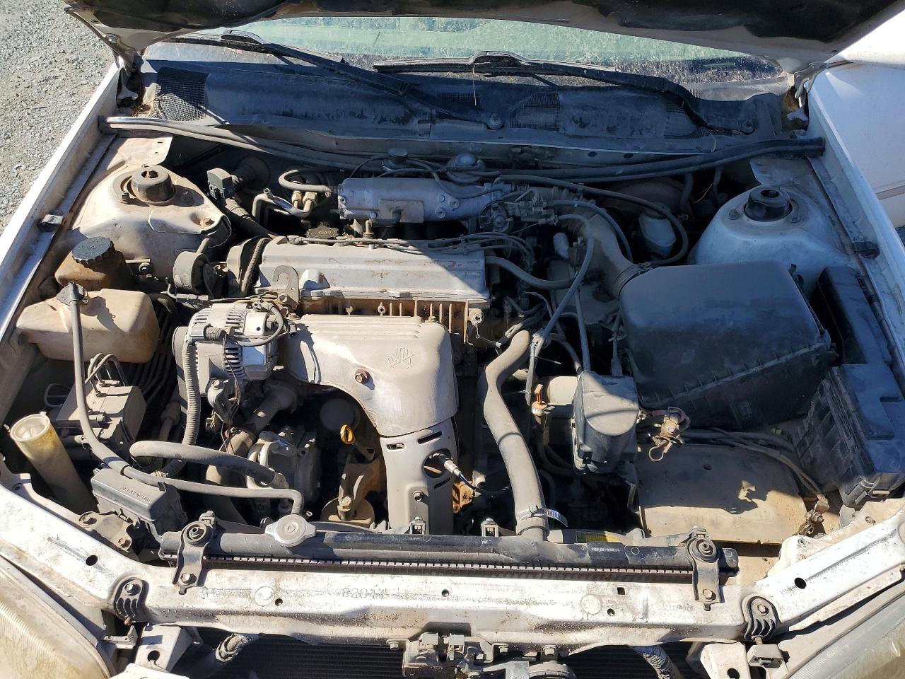 1998 Toyota Camry Le Белый vin: JT2BG22K4W0116477