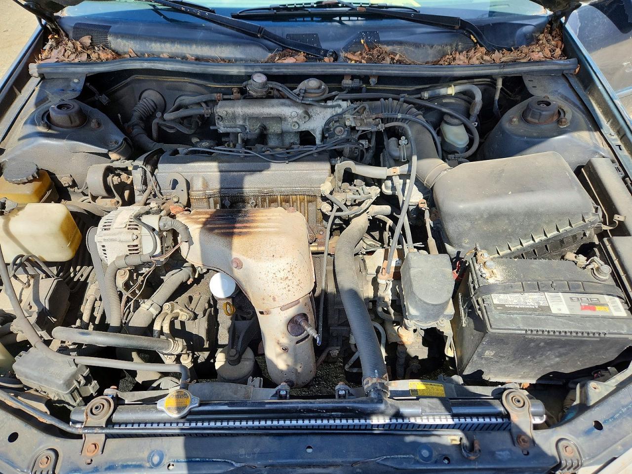 1998 Toyota Camry Le Зеленый vin: JT2BG22K5W0139508