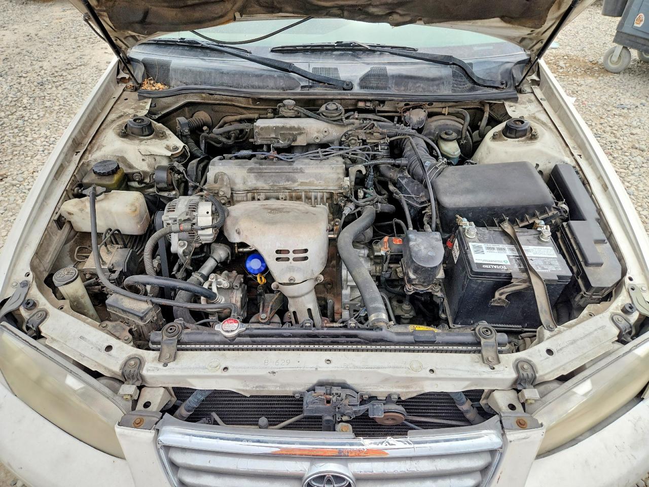 2000 Toyota Camry Le Белый vin: JT2BG22K5Y0447698