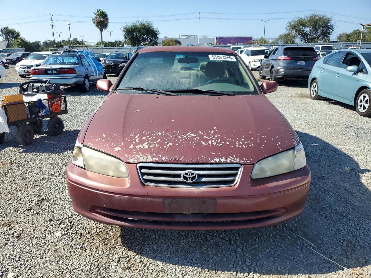 2000 Toyota Camry Le Бордовый vin: JT2BG22K8Y0478749