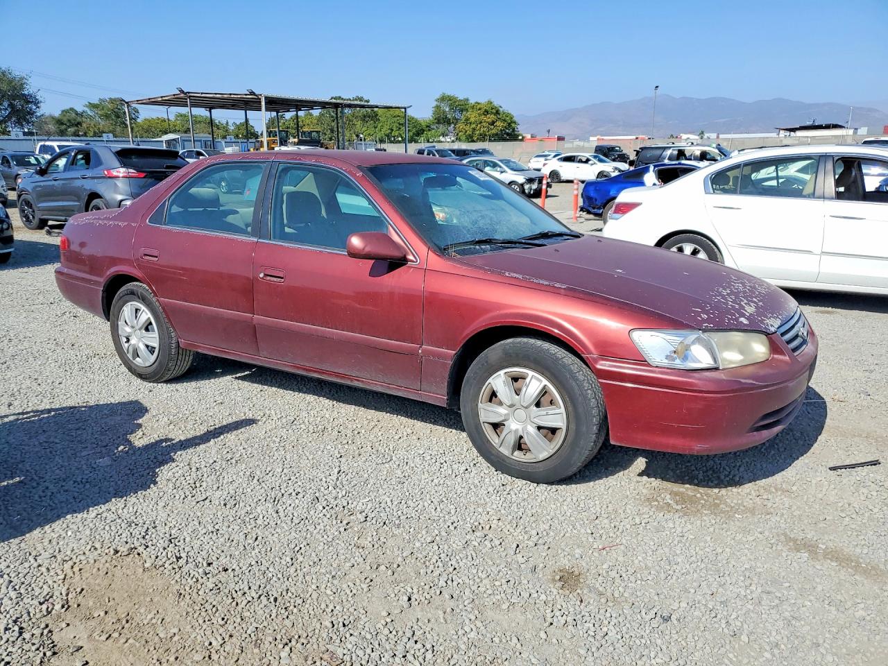 2000 Toyota Camry Le Бордовый vin: JT2BG22K8Y0478749