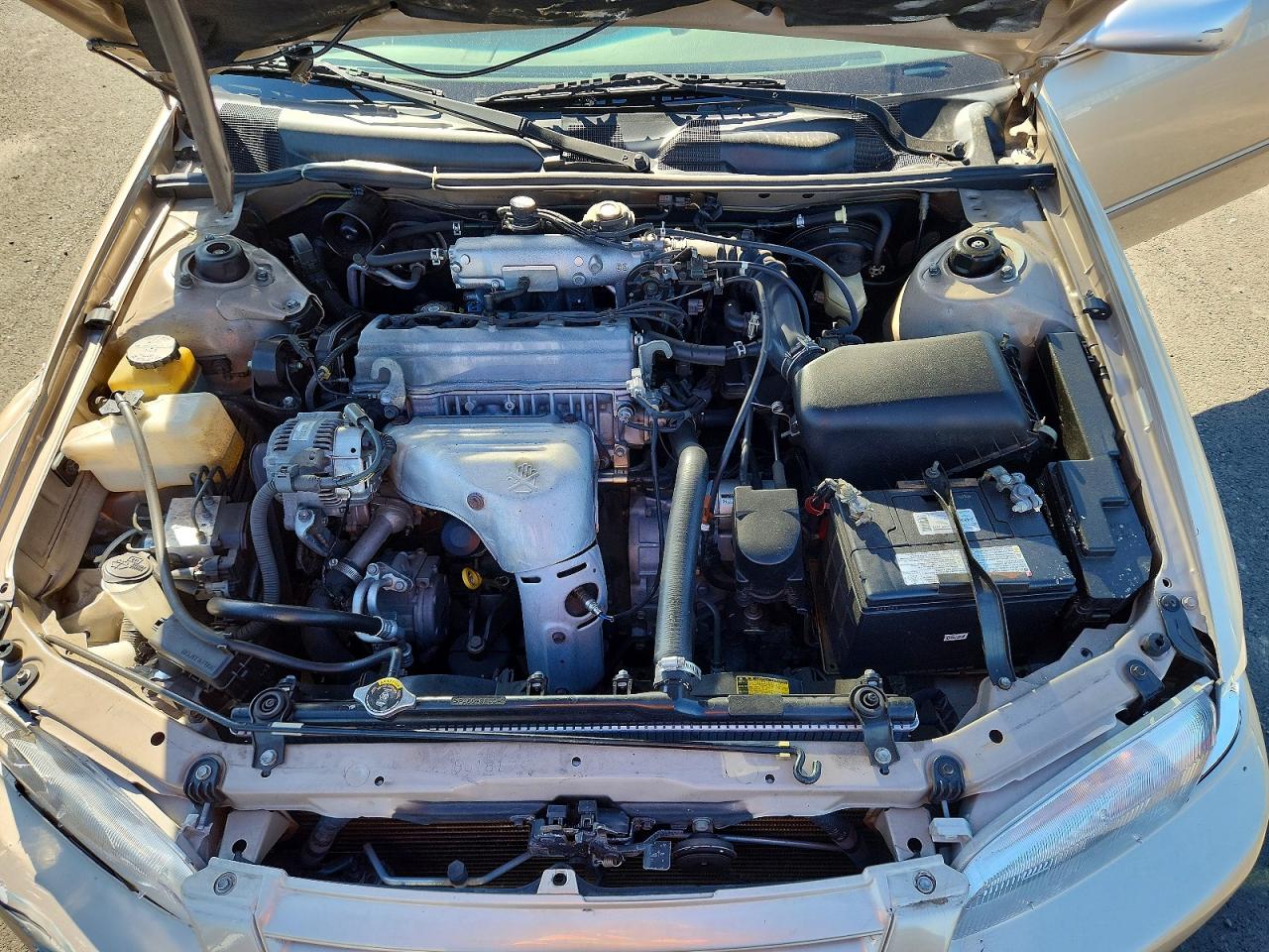 1998 Toyota Camry Желто-коричневый vin: JT2BG28K8W0250156
