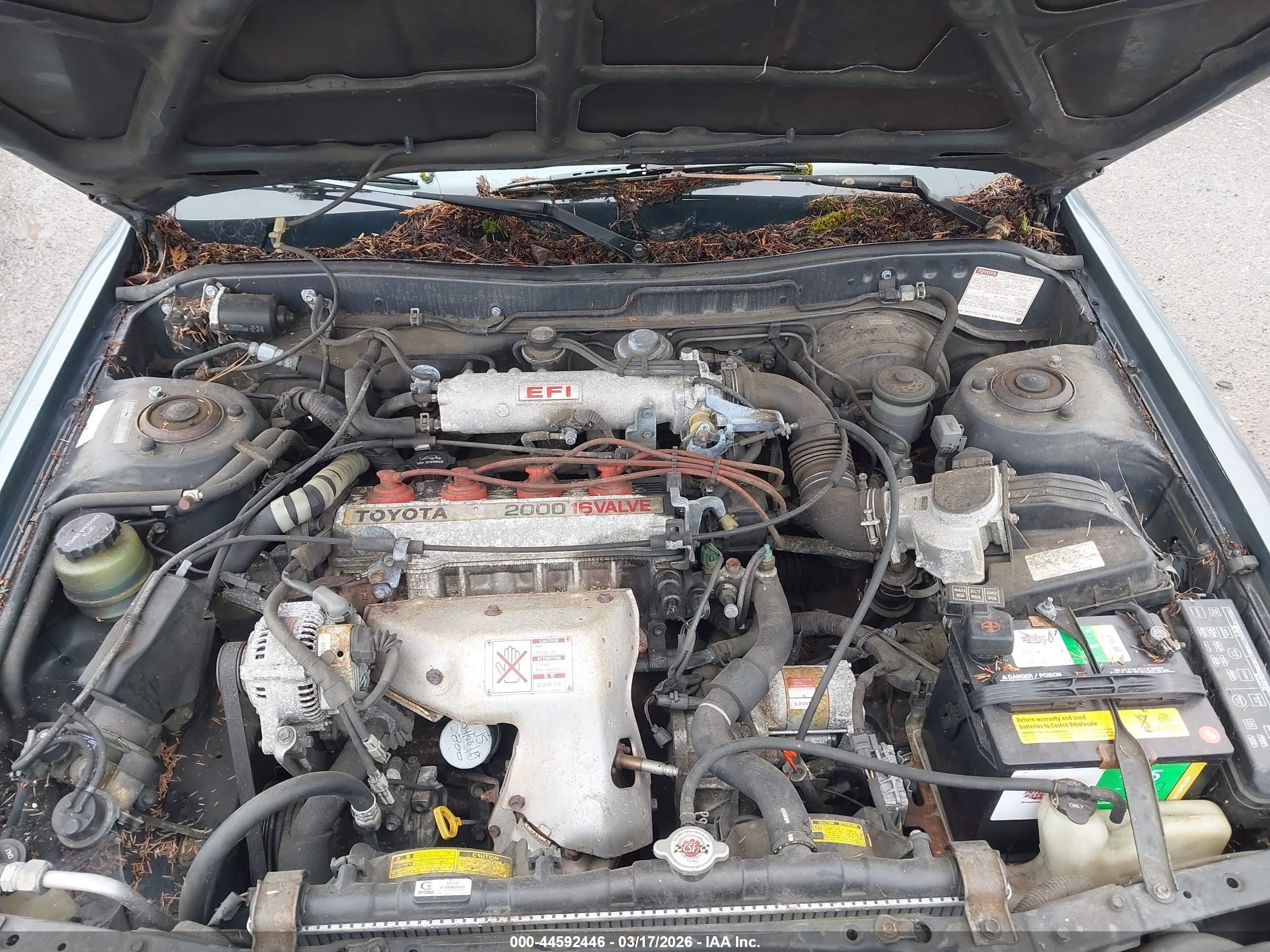 1991 Toyota Camry Dlx Light Blue vin: JT2SV21E3M3464977